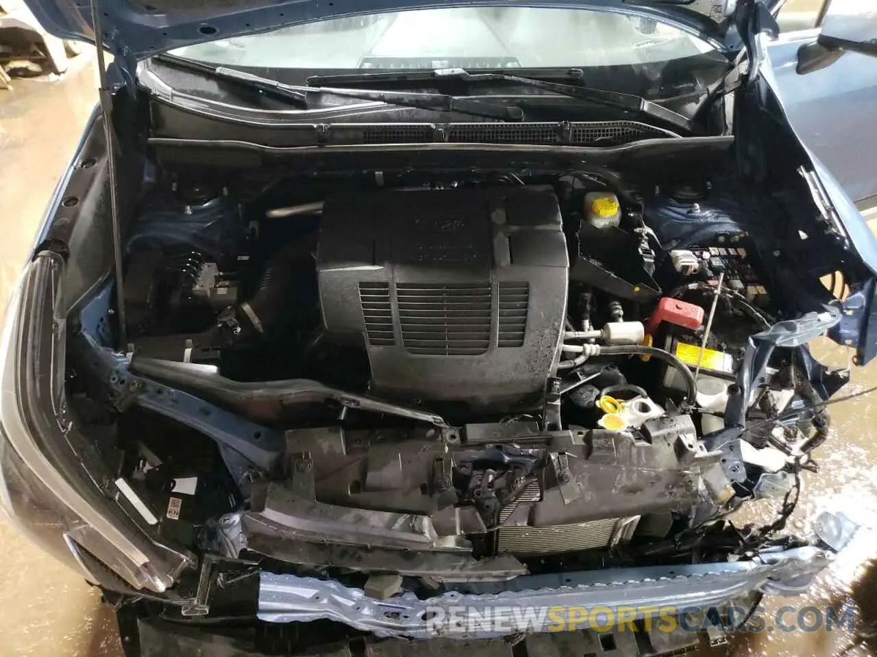 11 fotografías del automóvil dañado JF2SKAMC8RH473710 SUBARU FORESTER 2024