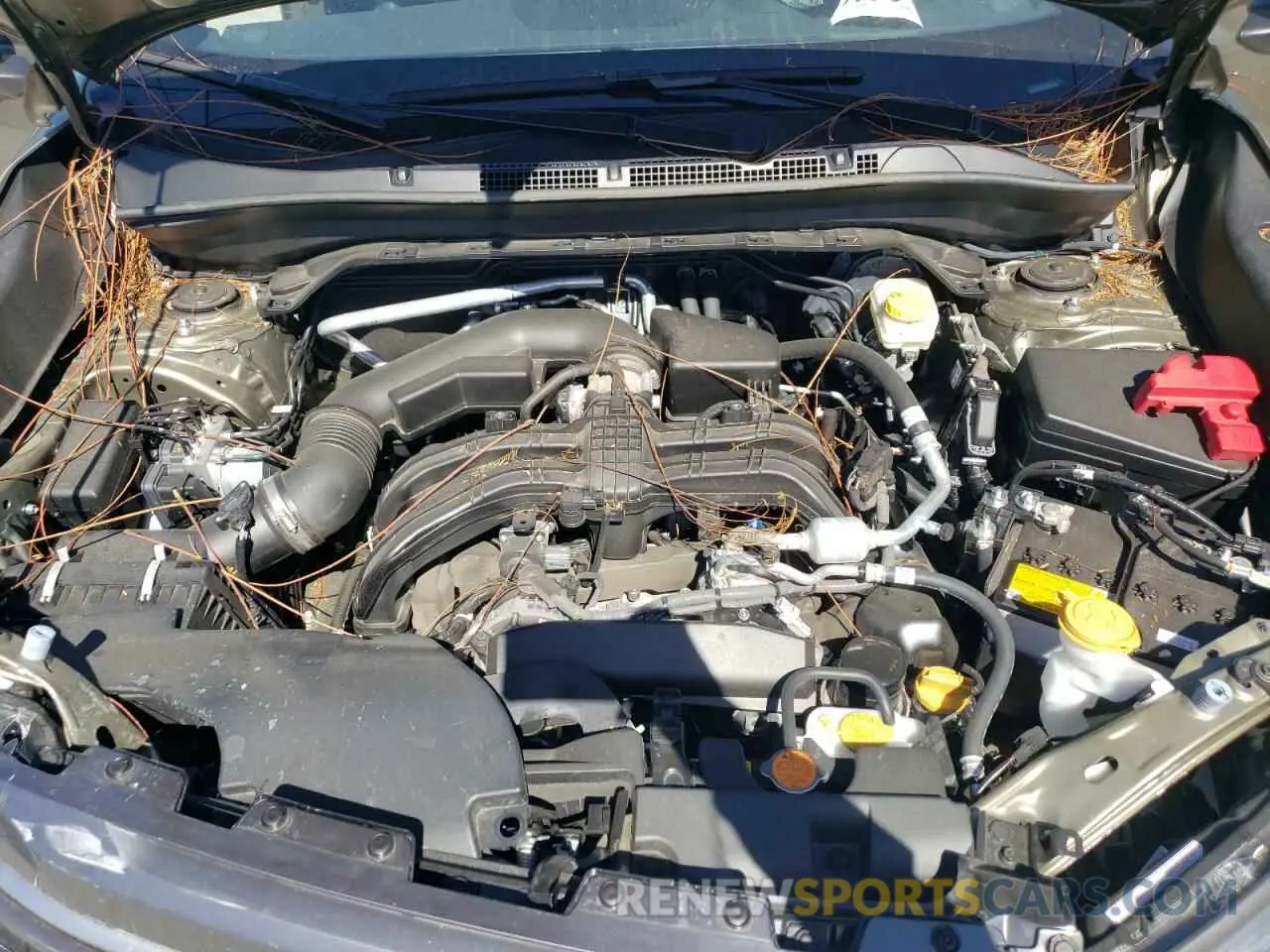 12 fotografías del automóvil dañado JF2SLDNC0SH488141 SUBARU FORESTER 2025