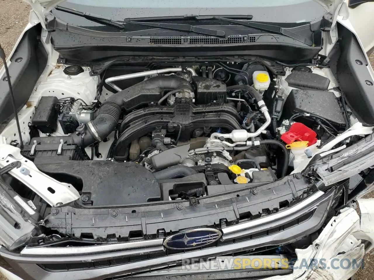 12 fotografías del automóvil dañado JF2SLDNC6SH403075 SUBARU FORESTER 2025