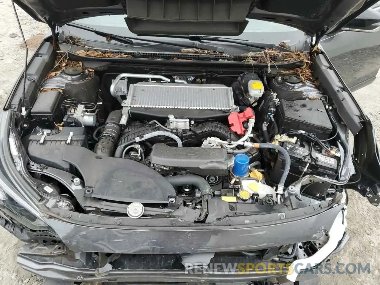 12 fotografías del automóvil dañado 4S4BTGND2P3171504 SUBARU OUTBACK 2023