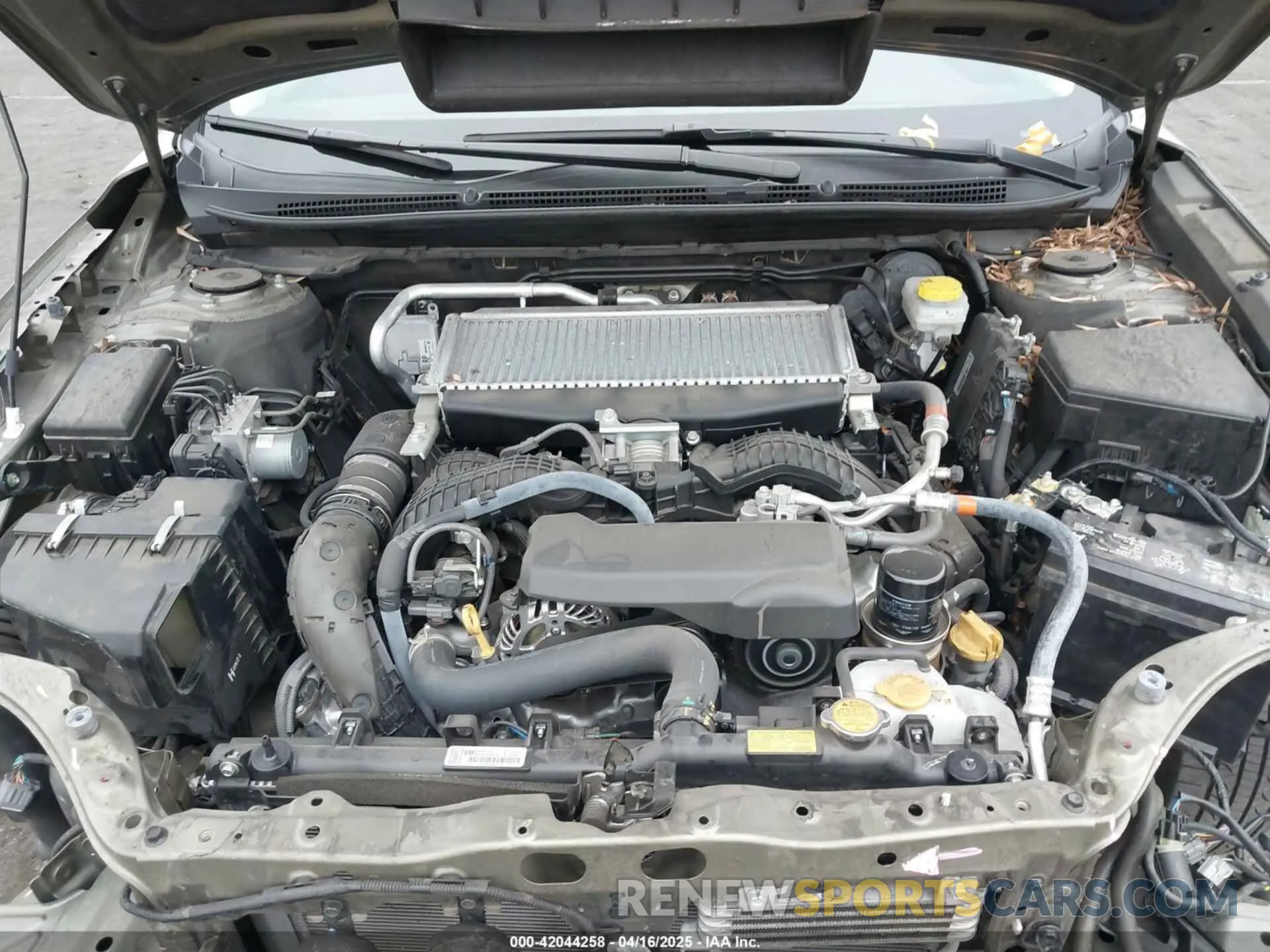 10 fotografías del automóvil dañado 4S4BTGND6P3138828 SUBARU OUTBACK 2023