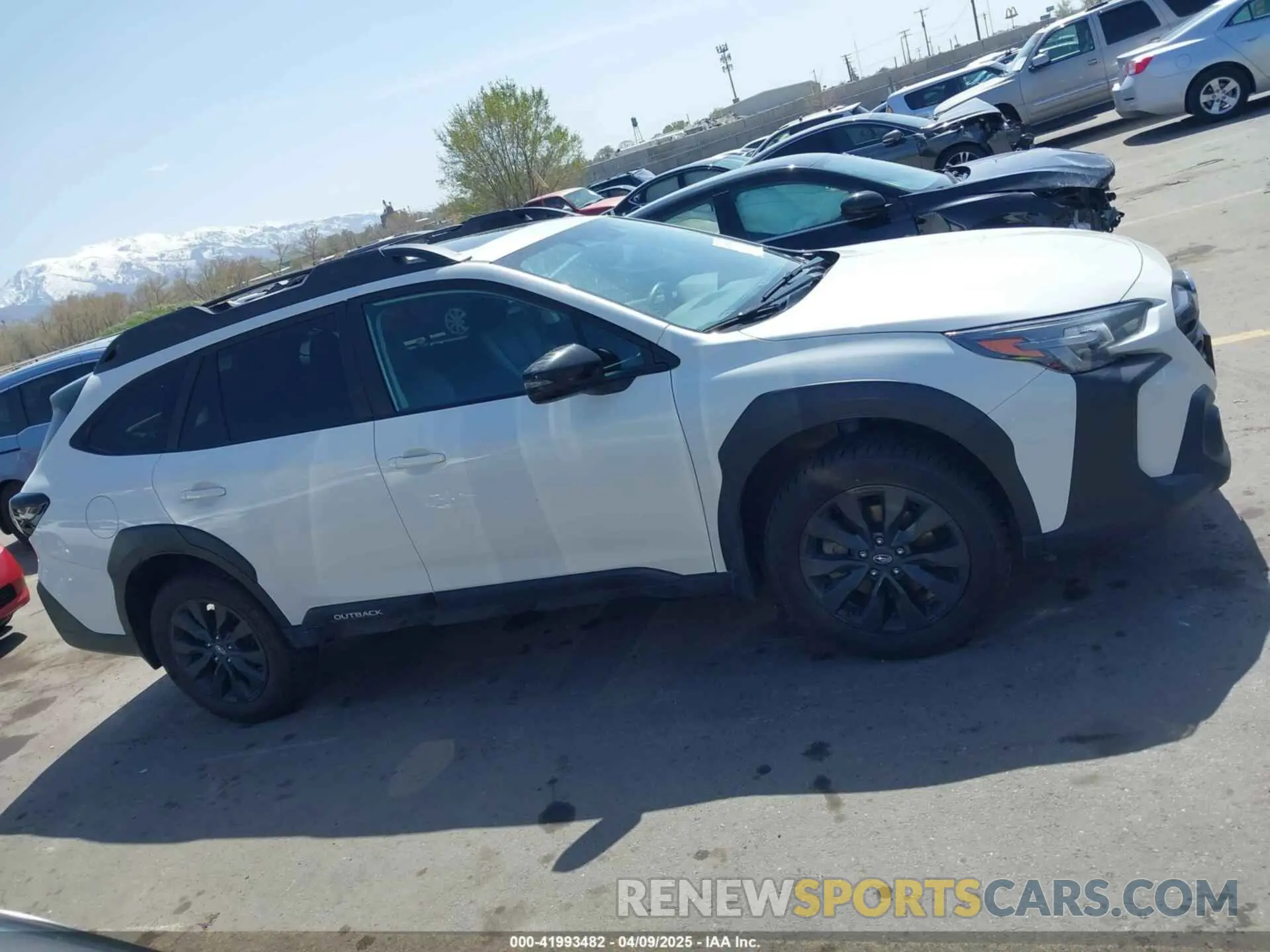 12 fotografías del automóvil dañado 4S4BTALC9R3137649 SUBARU OUTBACK 2024