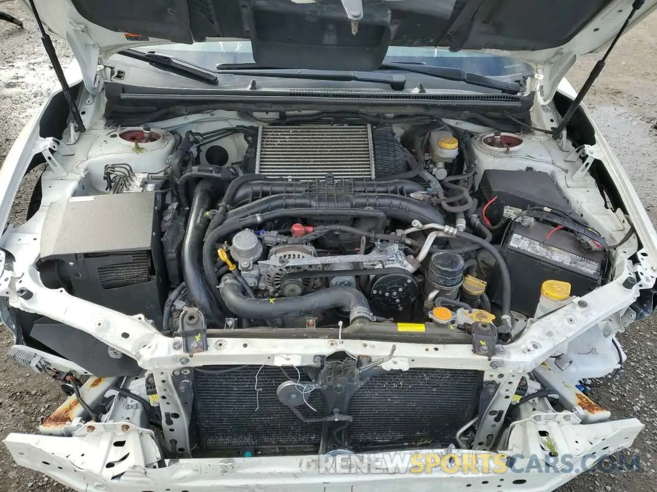 11 fotografías del automóvil dañado JF1VA1A60K9817842 SUBARU WRX 2019