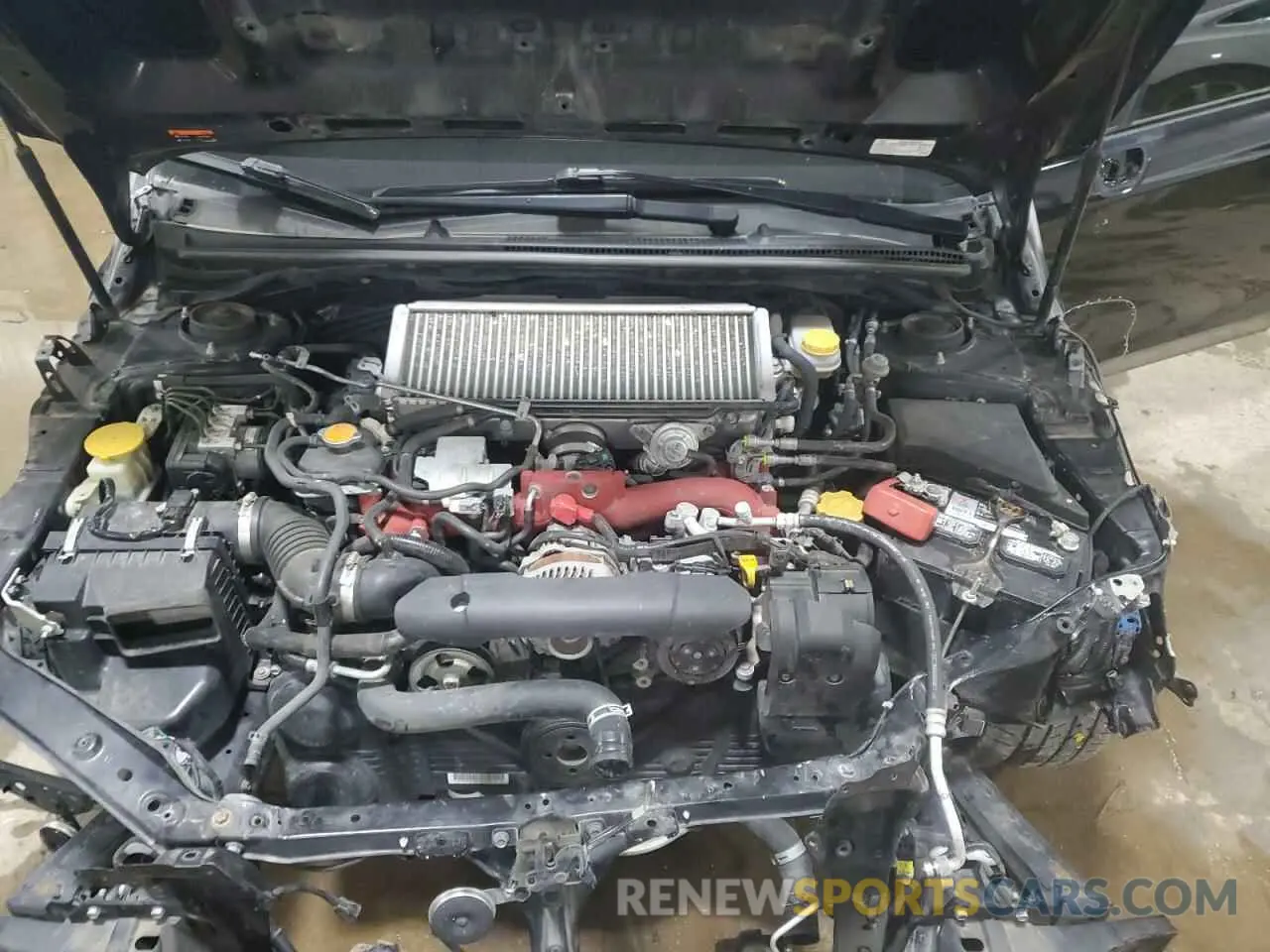11 fotografías del automóvil dañado JF1VA2R61K9830030 SUBARU WRX 2019