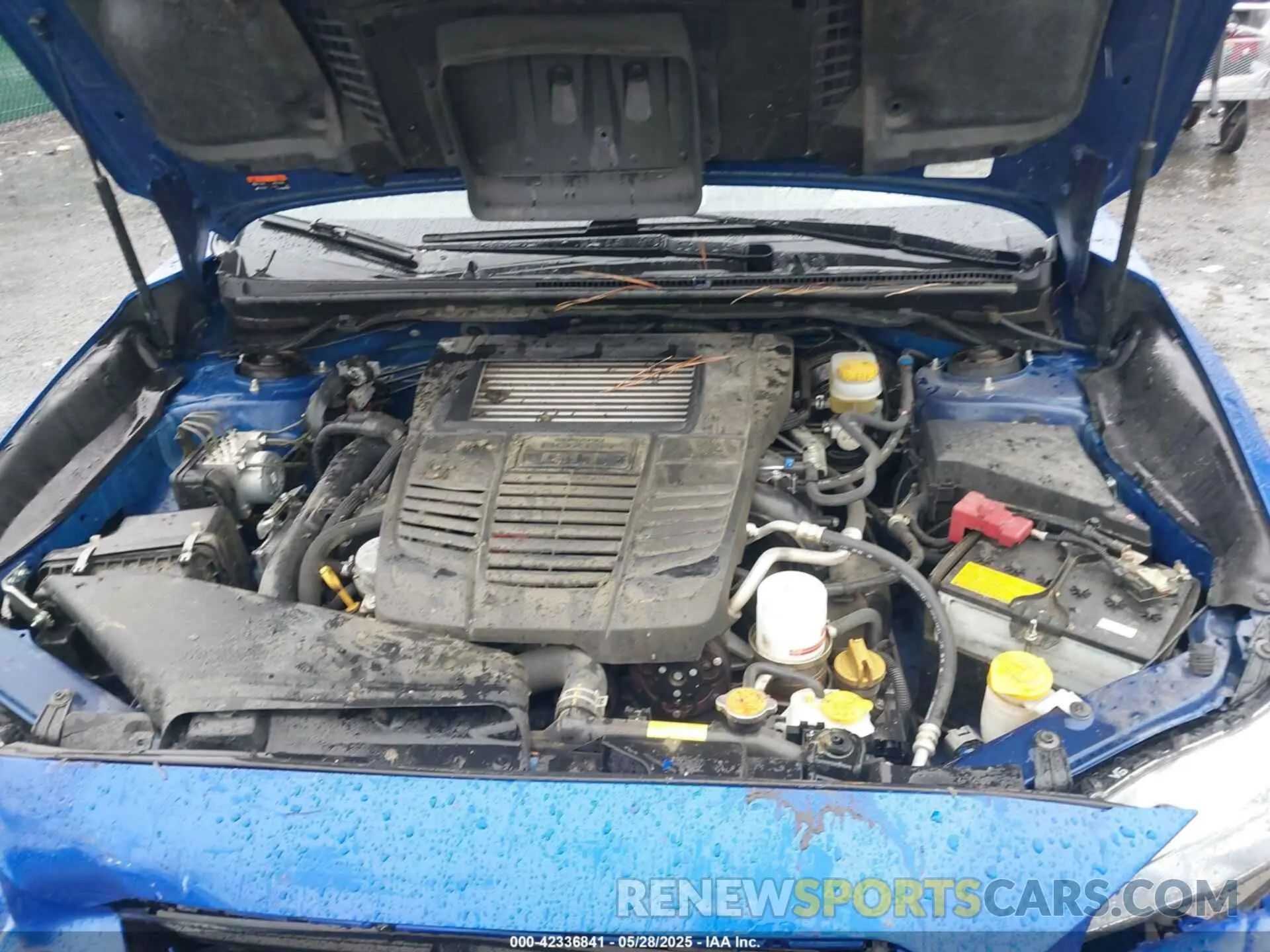 10 fotografías del automóvil dañado JF1VA1C63L9824895 SUBARU WRX 2020