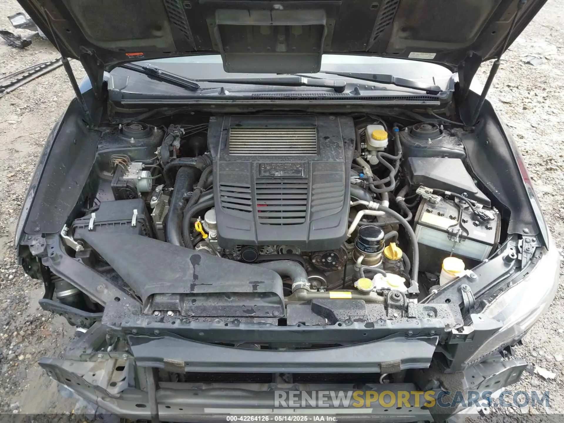 10 fotografías del automóvil dañado JF1VA1H61L9830235 SUBARU WRX 2020