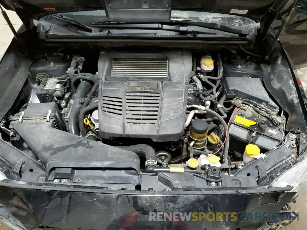11 fotografías del automóvil dañado JF1VA1A60M9811817 SUBARU WRX 2021