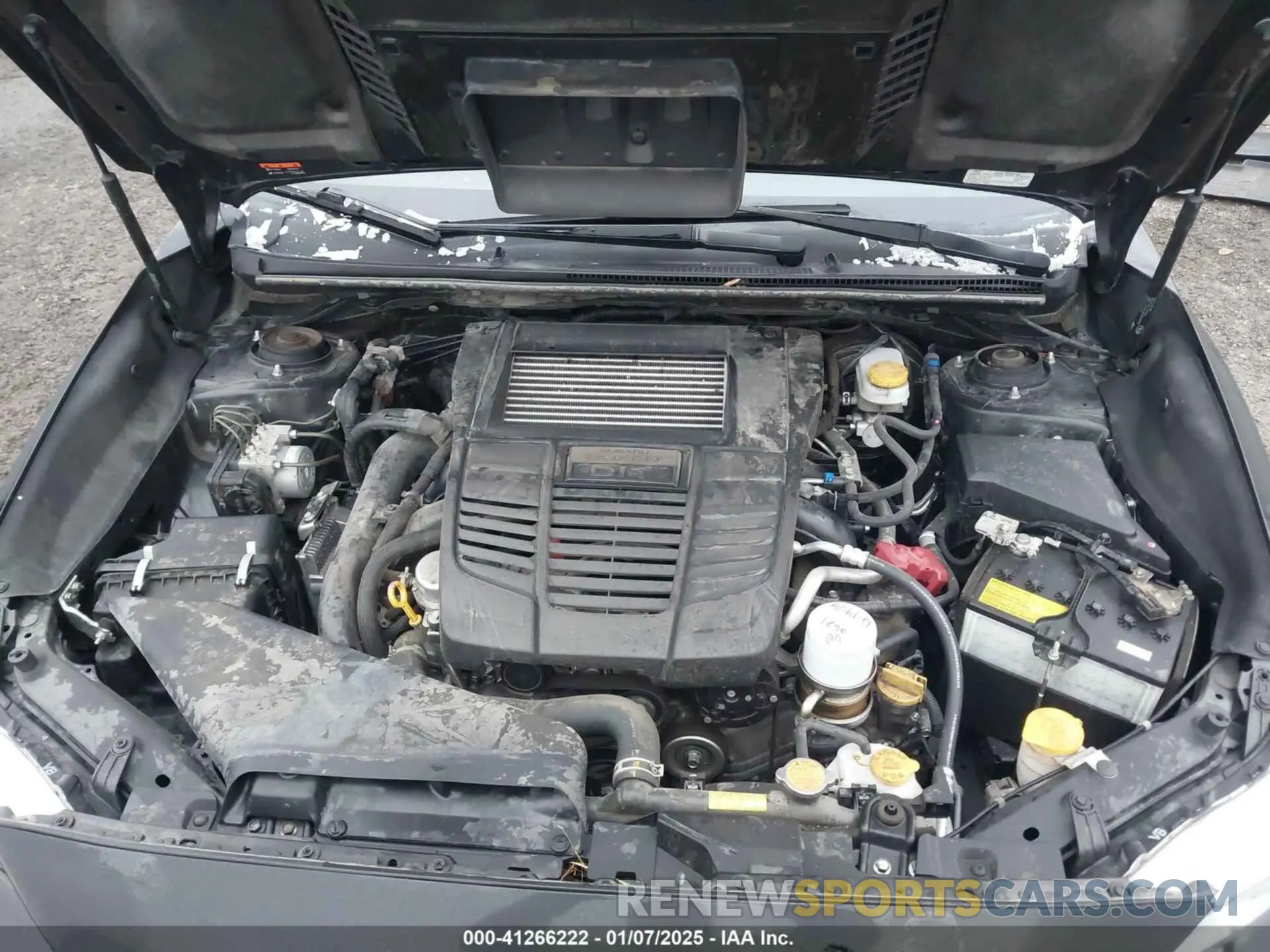 10 fotografías del automóvil dañado JF1VA1A67M9804217 SUBARU WRX 2021