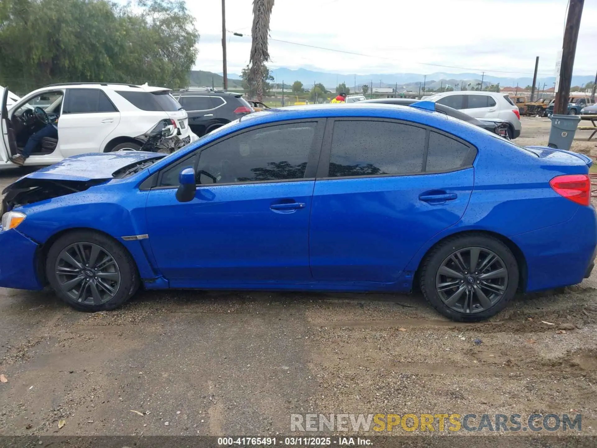 14 fotografías del automóvil dañado JF1VA1A68M9802718 SUBARU WRX 2021