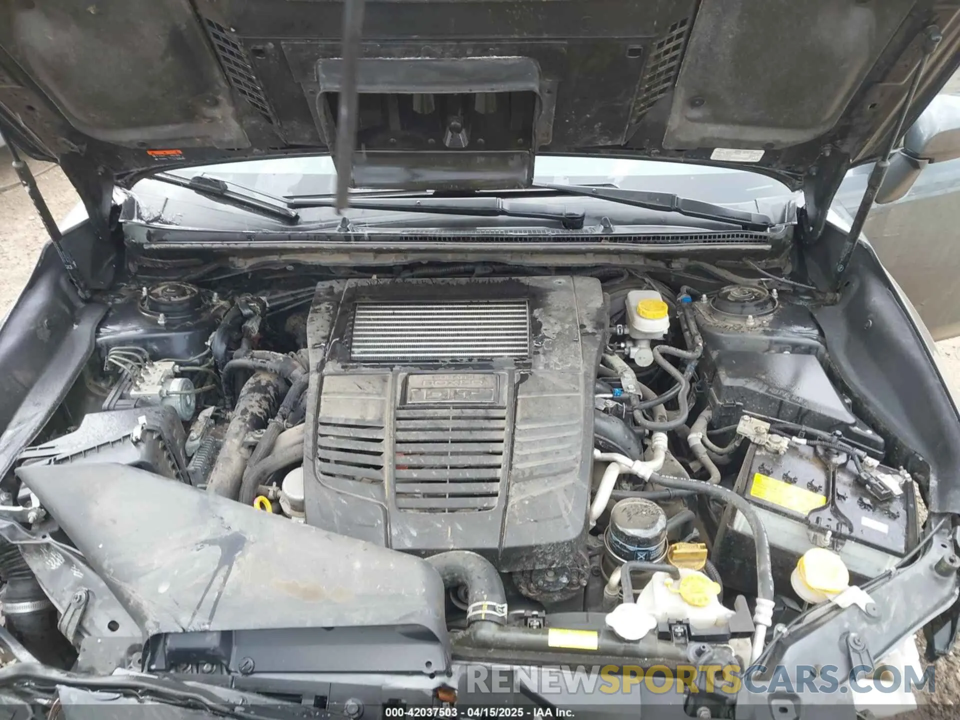 10 fotografías del automóvil dañado JF1VA1C60M9807716 SUBARU WRX 2021