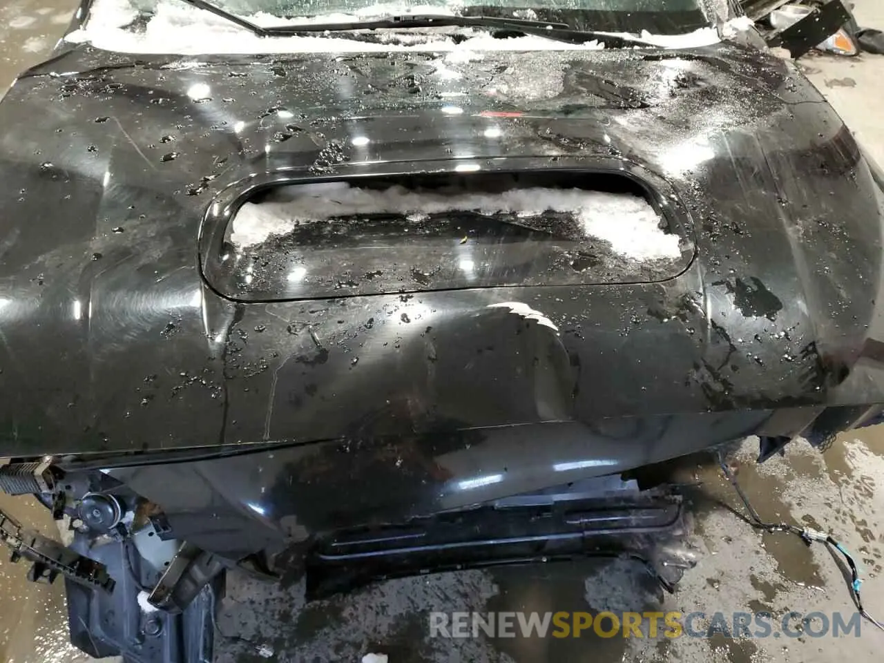 11 fotografías del automóvil dañado JF1VA1C61M9817736 SUBARU WRX 2021