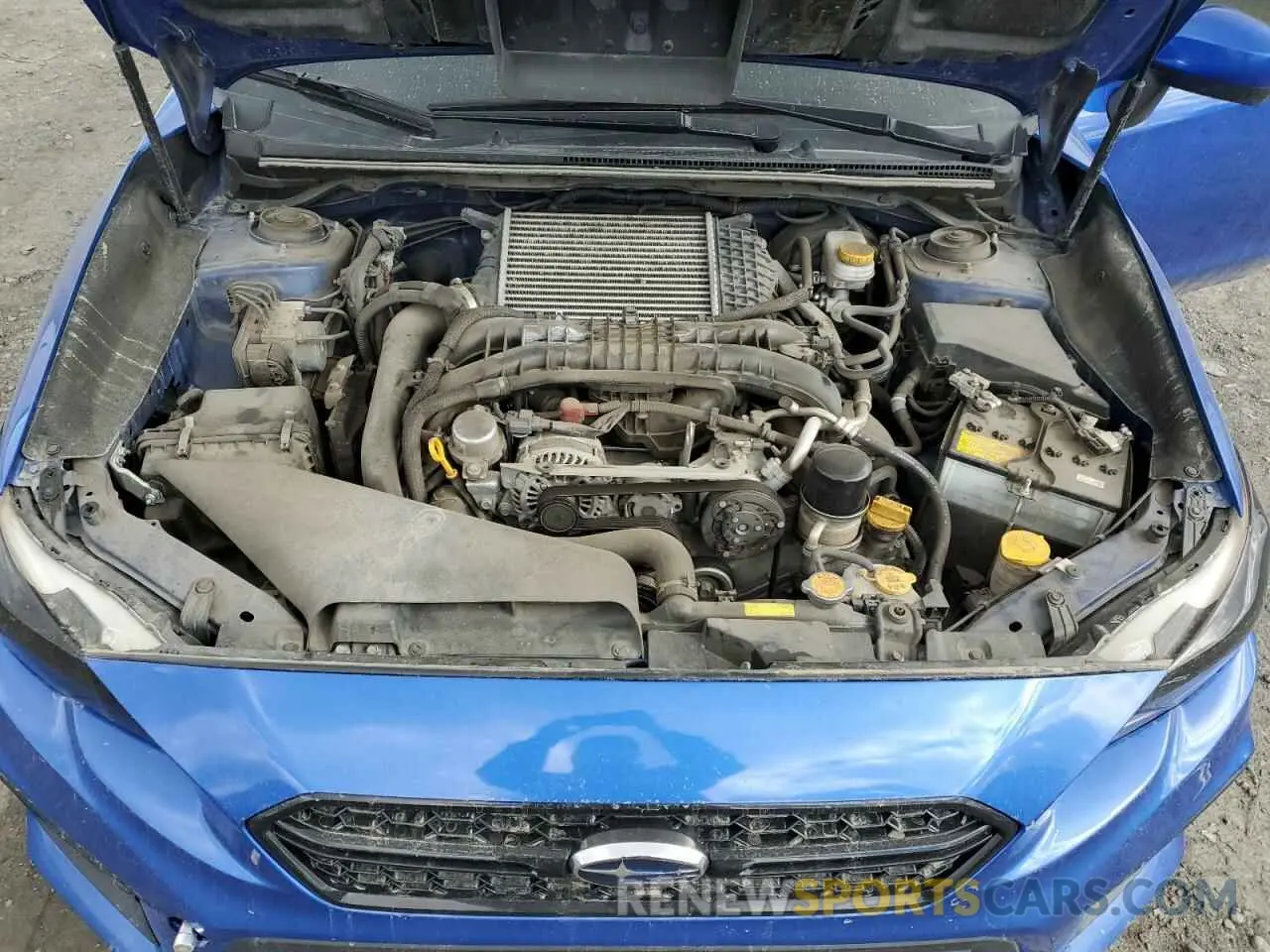13 fotografías del automóvil dañado JF1VA1C66M9823810 SUBARU WRX 2021