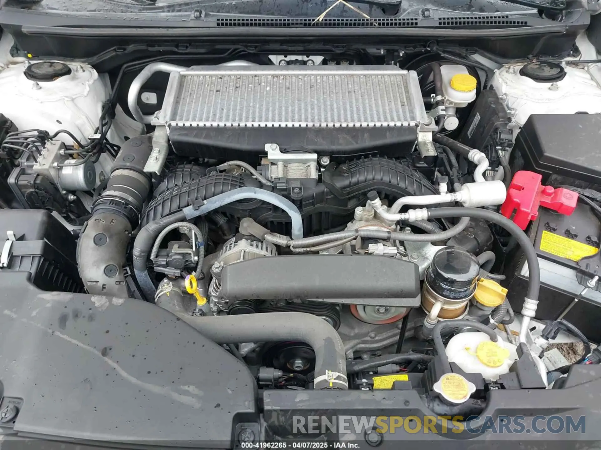 10 fotografías del automóvil dañado JF1VBAA65N9026482 SUBARU WRX 2022