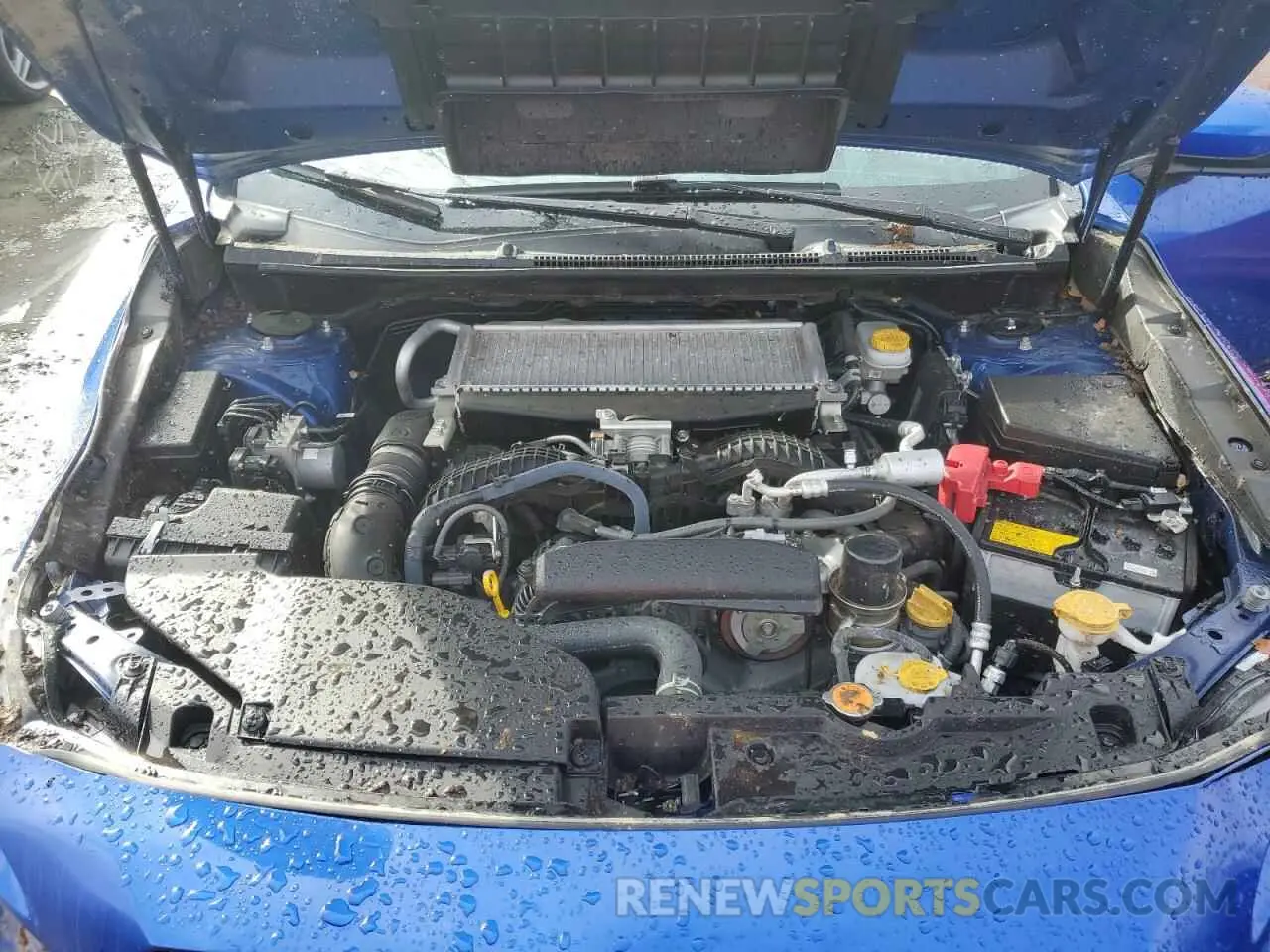 11 fotografías del automóvil dañado JF1VBAF64N9011707 SUBARU WRX 2022