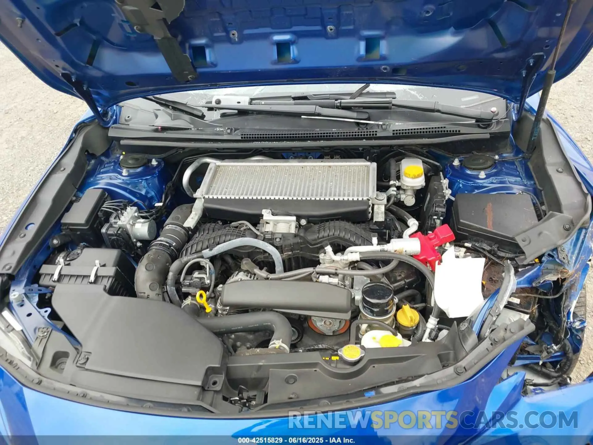 10 fotografías del automóvil dañado JF1VBAF69N9011864 SUBARU WRX 2022