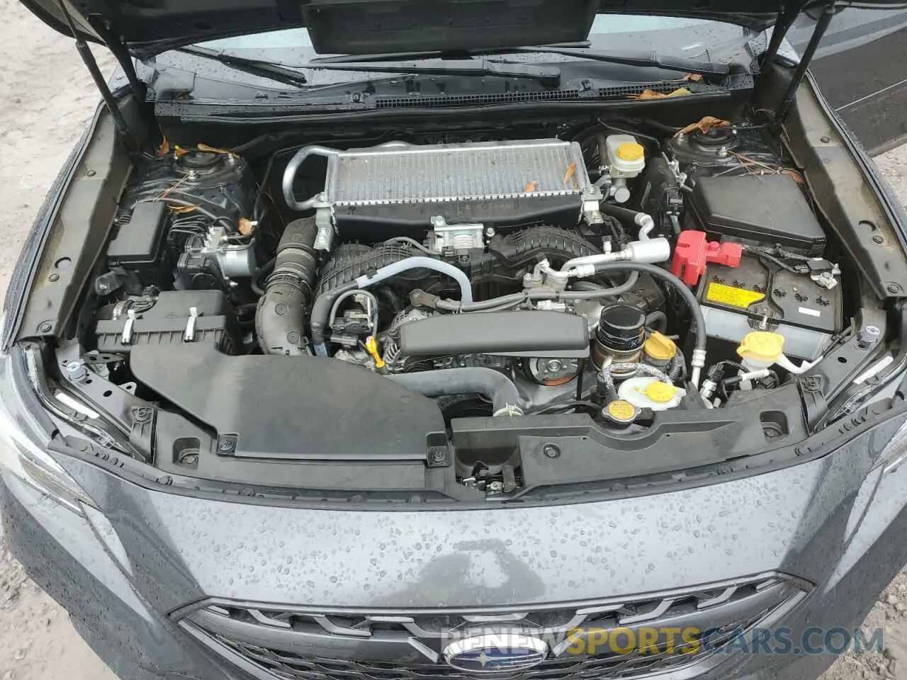 11 fotografías del automóvil dañado JF1VBAL69N9016986 SUBARU WRX 2022