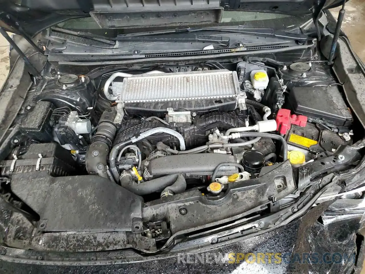 11 fotografías del automóvil dañado JF1VBAN66N8016446 SUBARU WRX 2022