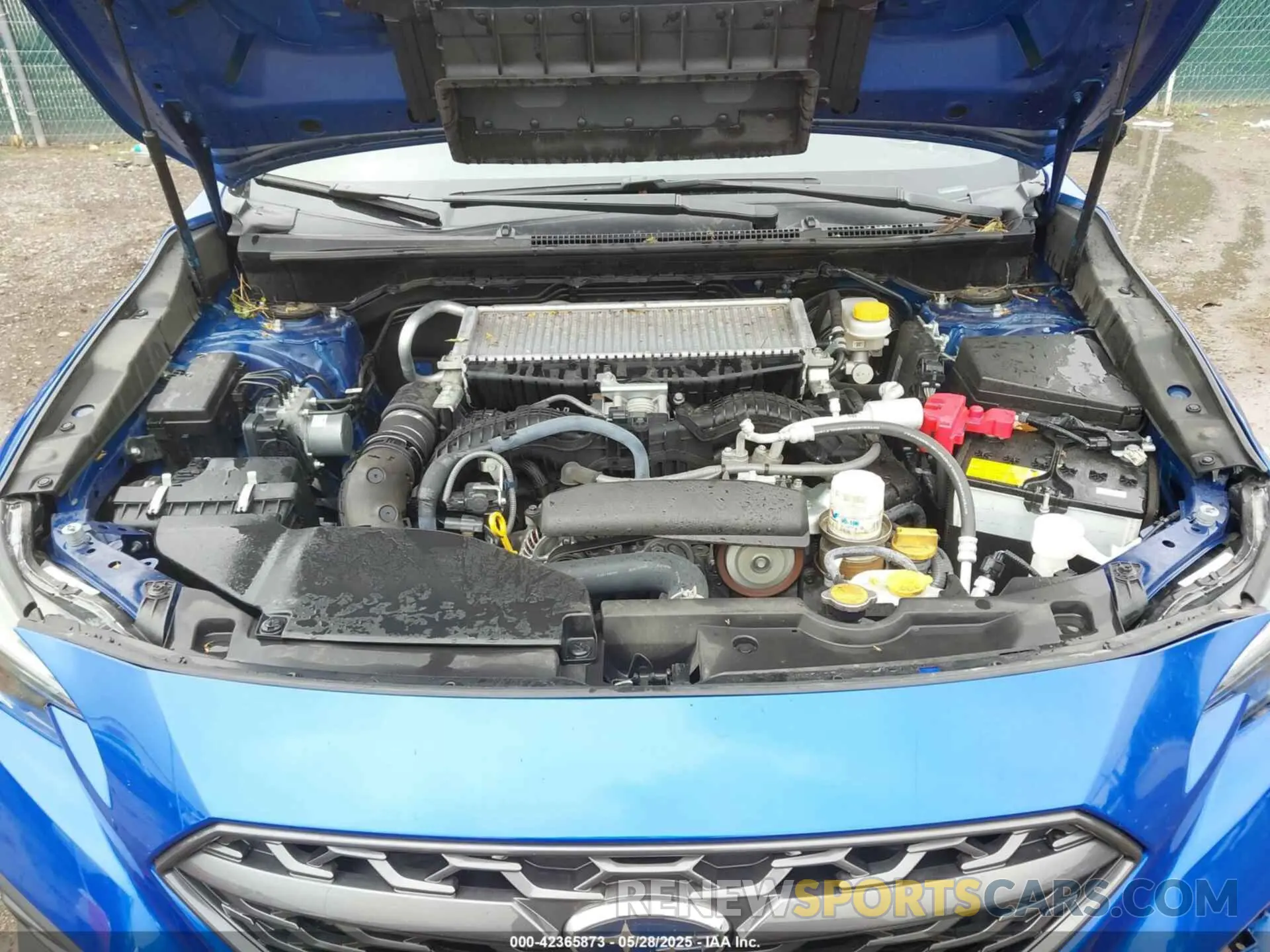 10 fotografías del automóvil dañado JF1VBAA60P9805839 SUBARU WRX 2023