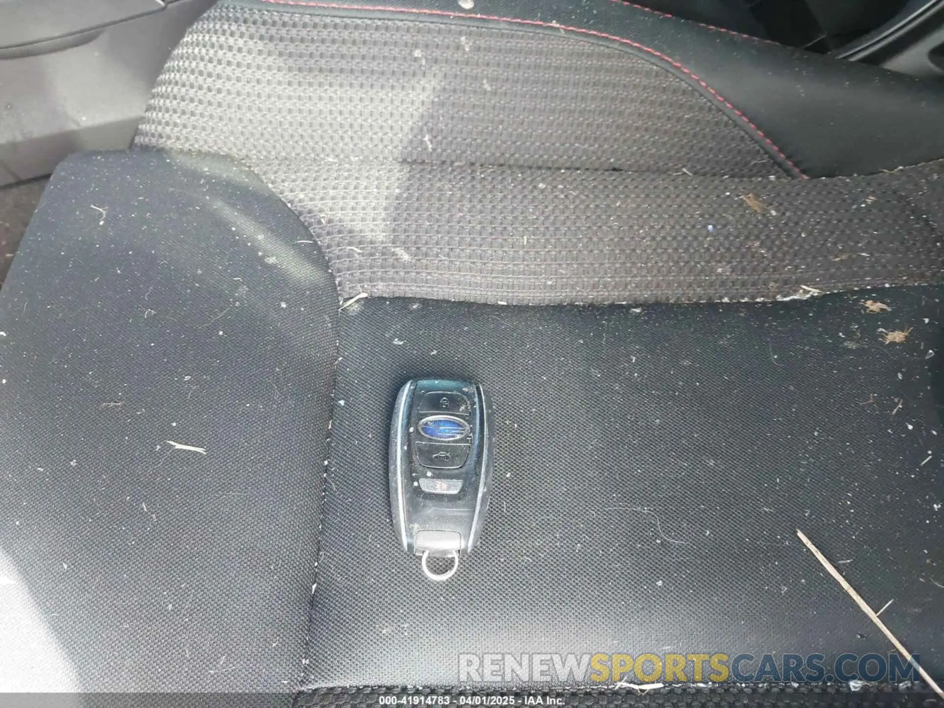 11 fotografías del automóvil dañado JF1VBAF65P9824119 SUBARU WRX 2023