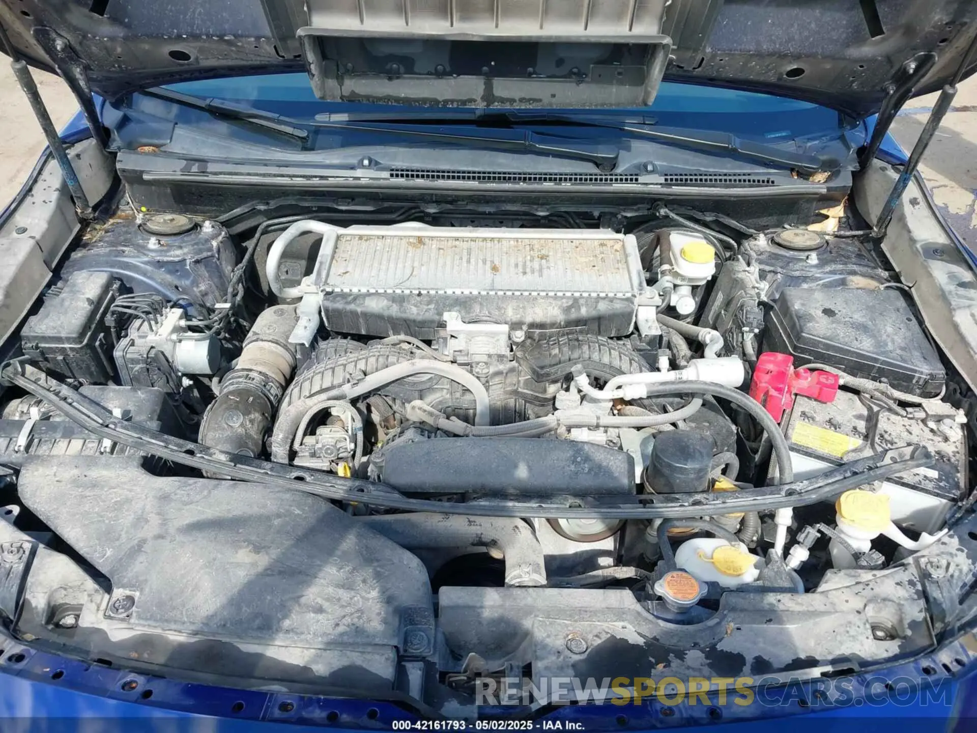 10 fotografías del automóvil dañado JF1VBAF69P9811809 SUBARU WRX 2023