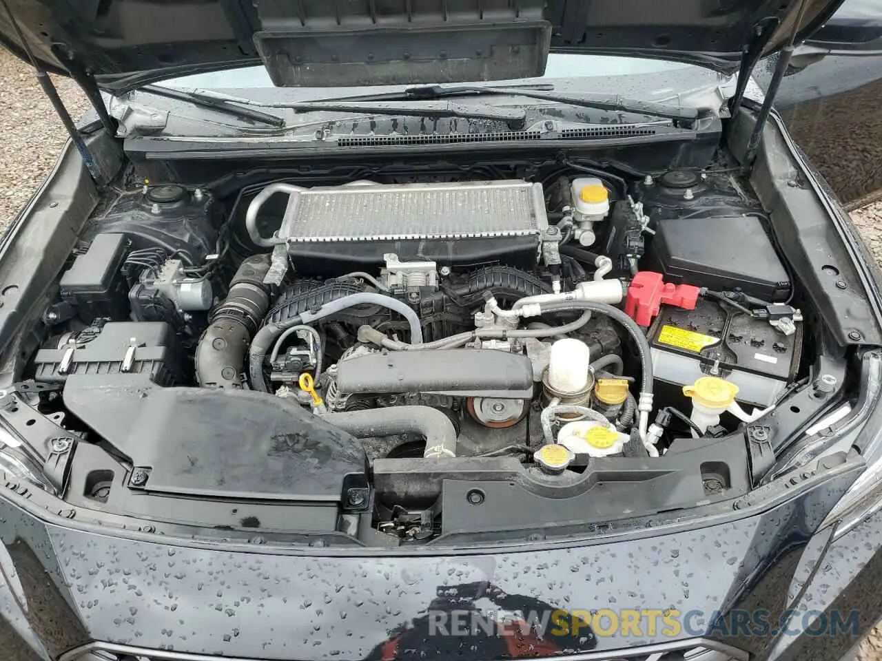 11 fotografías del automóvil dañado JF1VBAL65P9800083 SUBARU WRX 2023