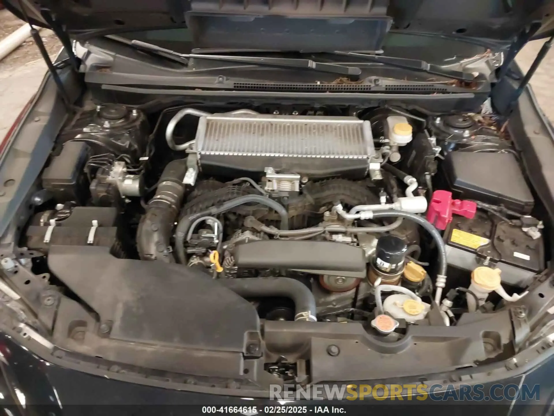 10 fotografías del automóvil dañado JF1VBAL68P9823647 SUBARU WRX 2023