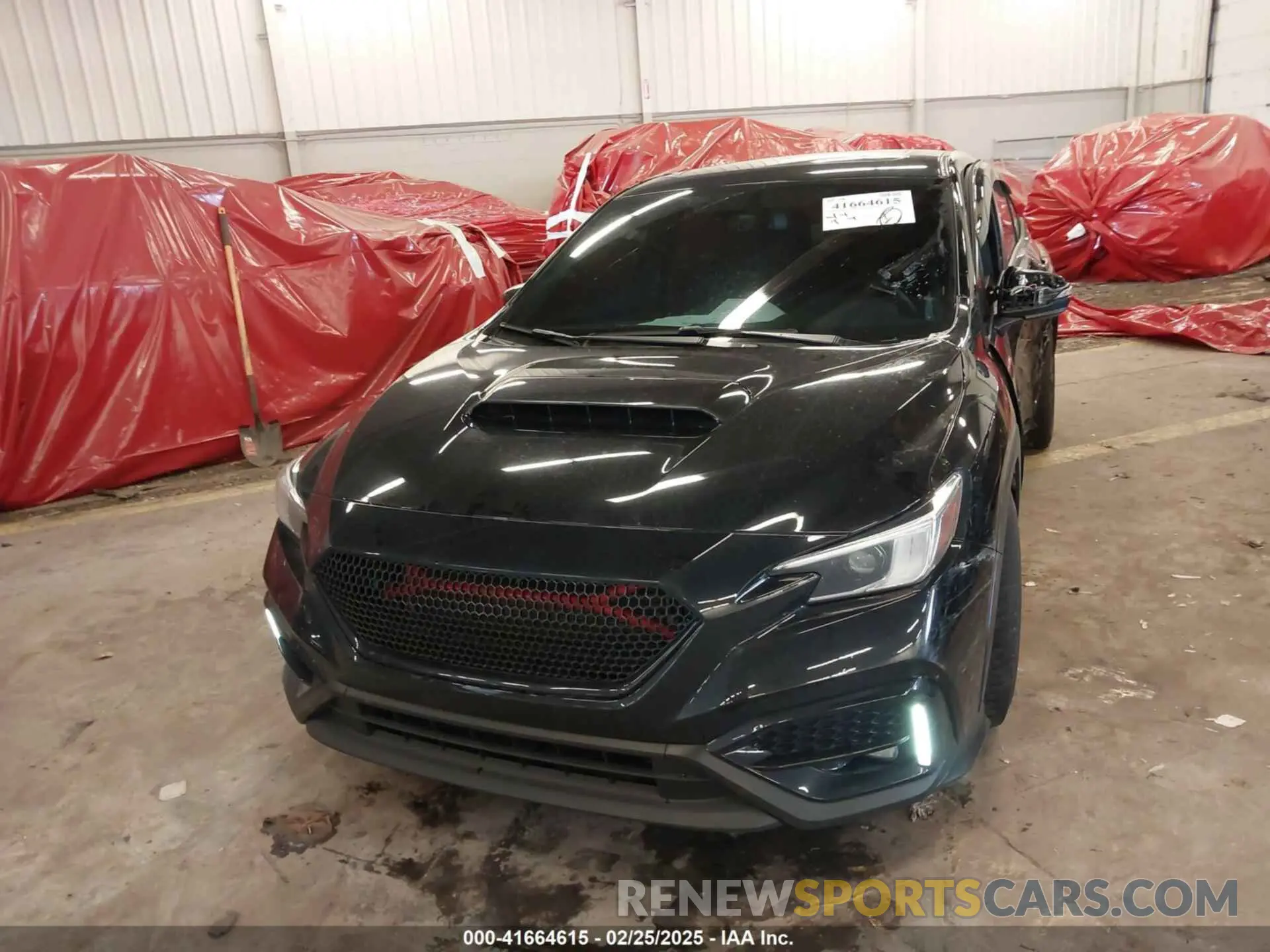 12 fotografías del automóvil dañado JF1VBAL68P9823647 SUBARU WRX 2023