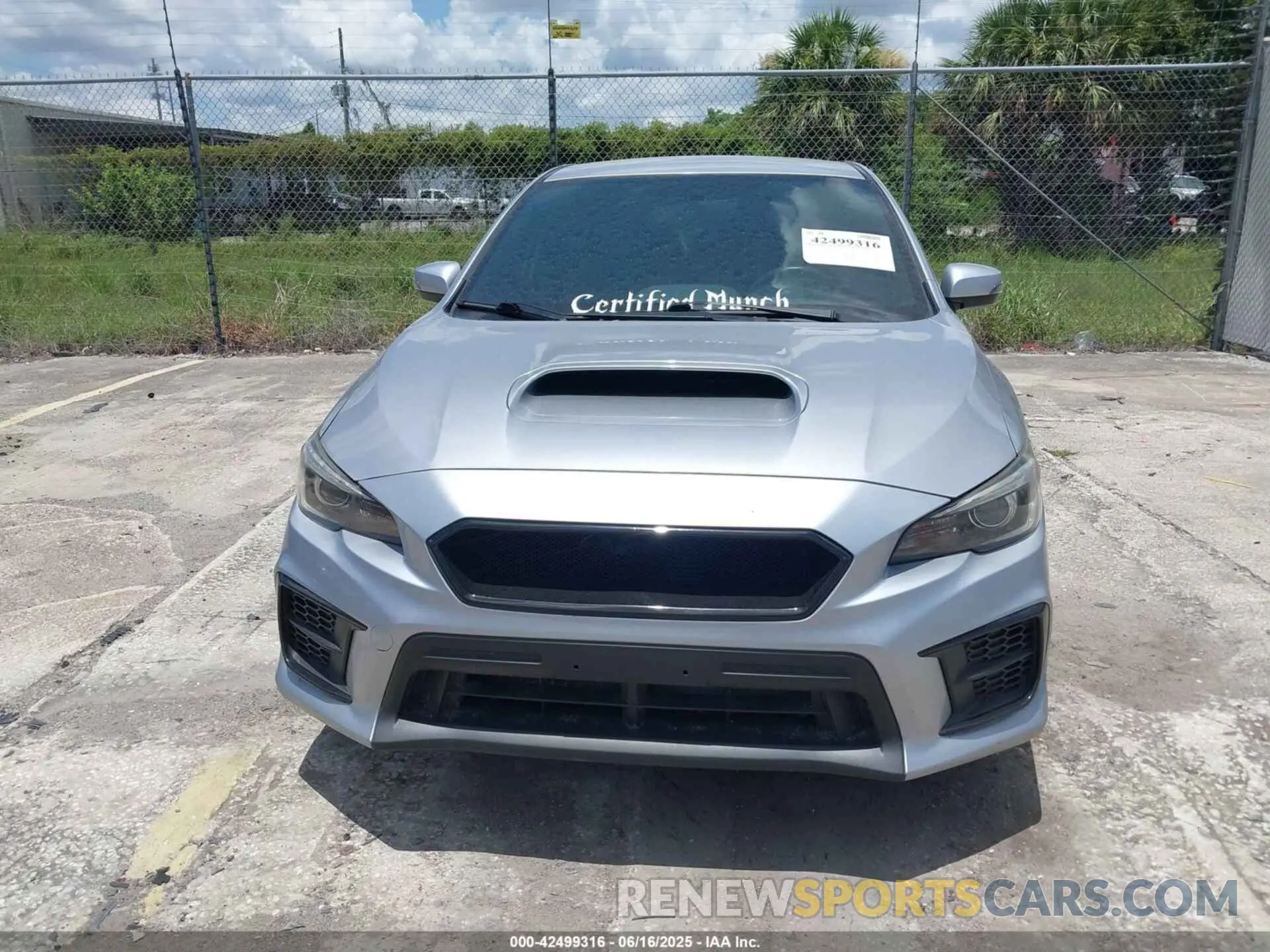 12 fotografías del automóvil dañado JF1VA2E66M9822014 SUBARU WRX STI 2021