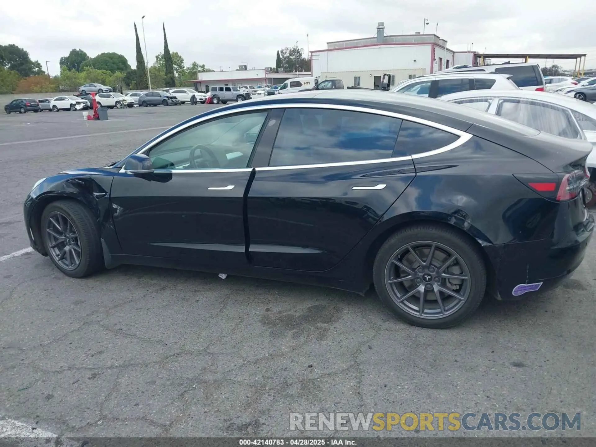 14 fotografías del automóvil dañado 5YJ3E1EA0KF301779 TESLA MODEL 3 2019