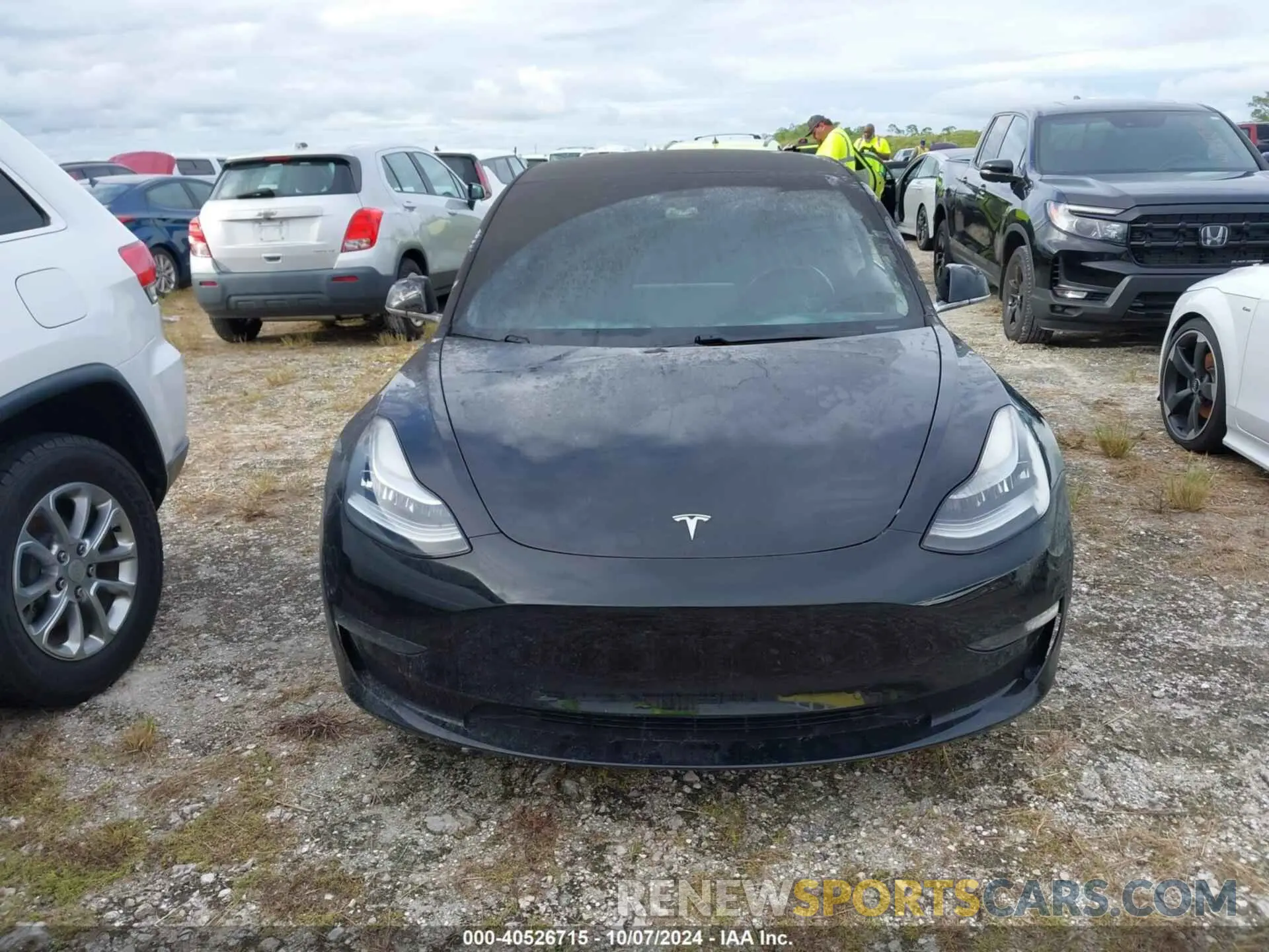 11 fotografías del automóvil dañado 5YJ3E1EA0KF306528 TESLA MODEL 3 2019