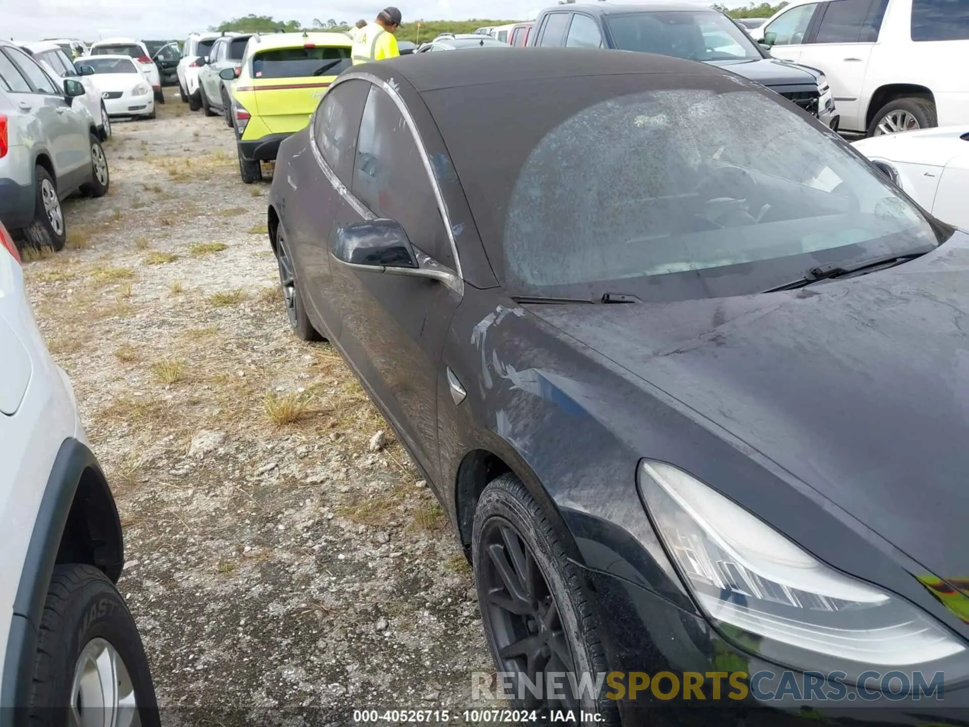 12 fotografías del automóvil dañado 5YJ3E1EA0KF306528 TESLA MODEL 3 2019