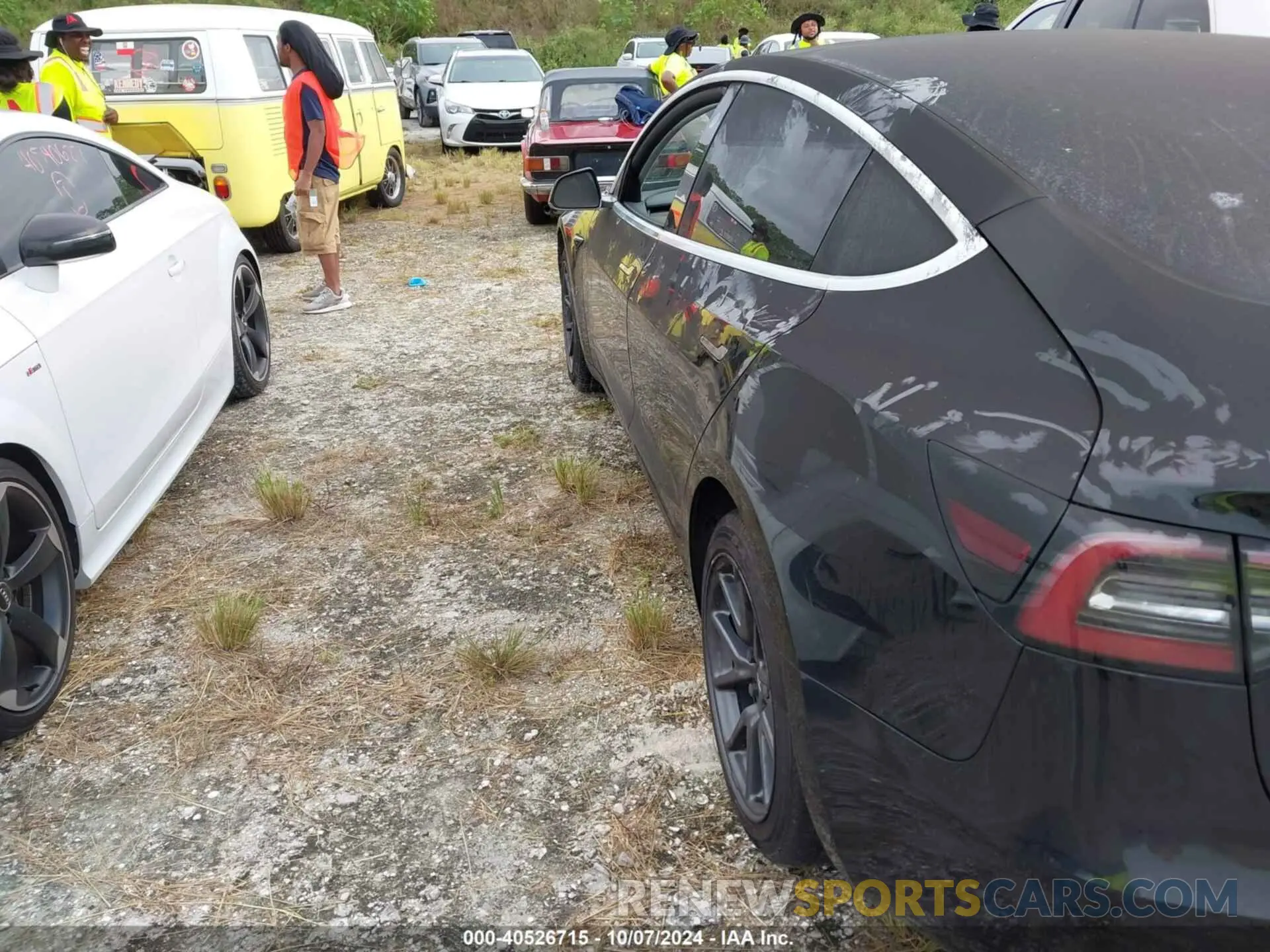 13 fotografías del automóvil dañado 5YJ3E1EA0KF306528 TESLA MODEL 3 2019