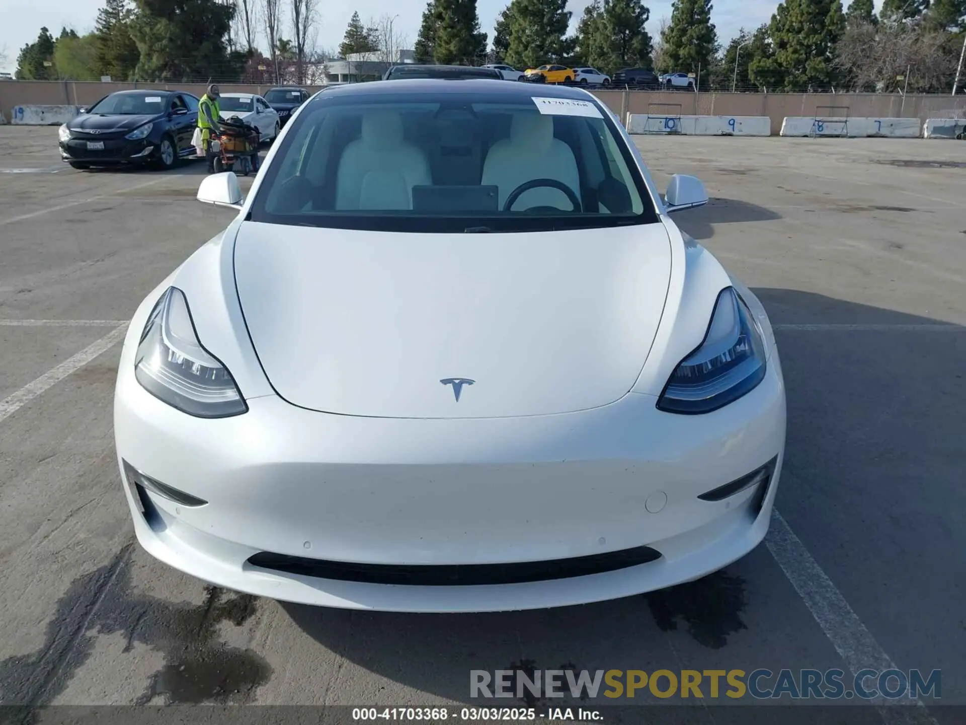 12 fotografías del automóvil dañado 5YJ3E1EA0KF322776 TESLA MODEL 3 2019