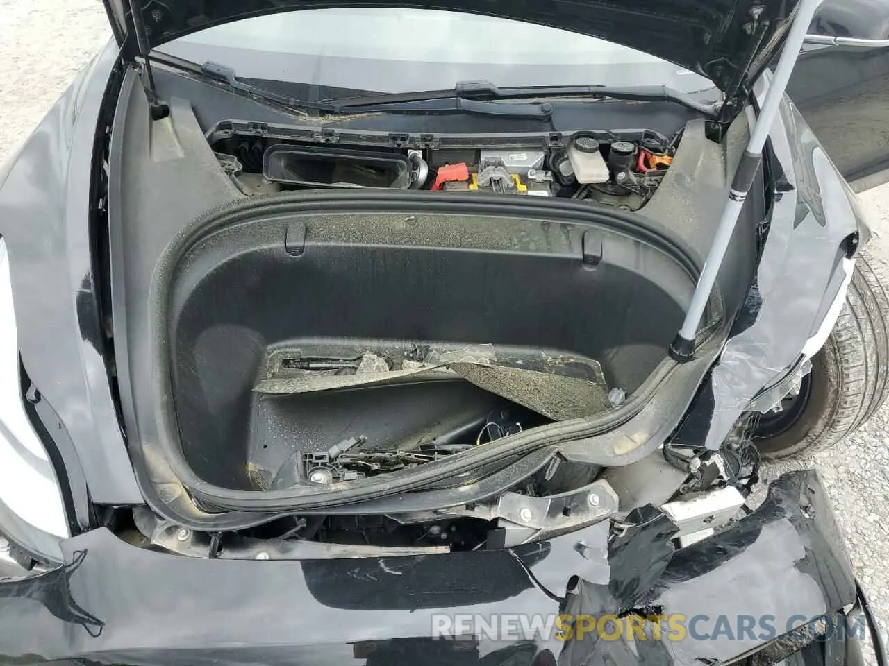 11 fotografías del automóvil dañado 5YJ3E1EA1KF189977 TESLA MODEL 3 2019