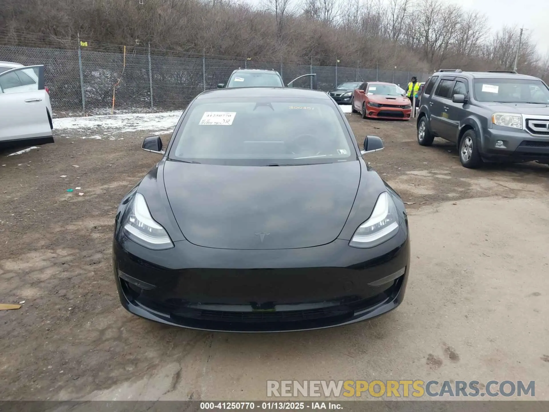 12 fotografías del automóvil dañado 5YJ3E1EA1KF300351 TESLA MODEL 3 2019