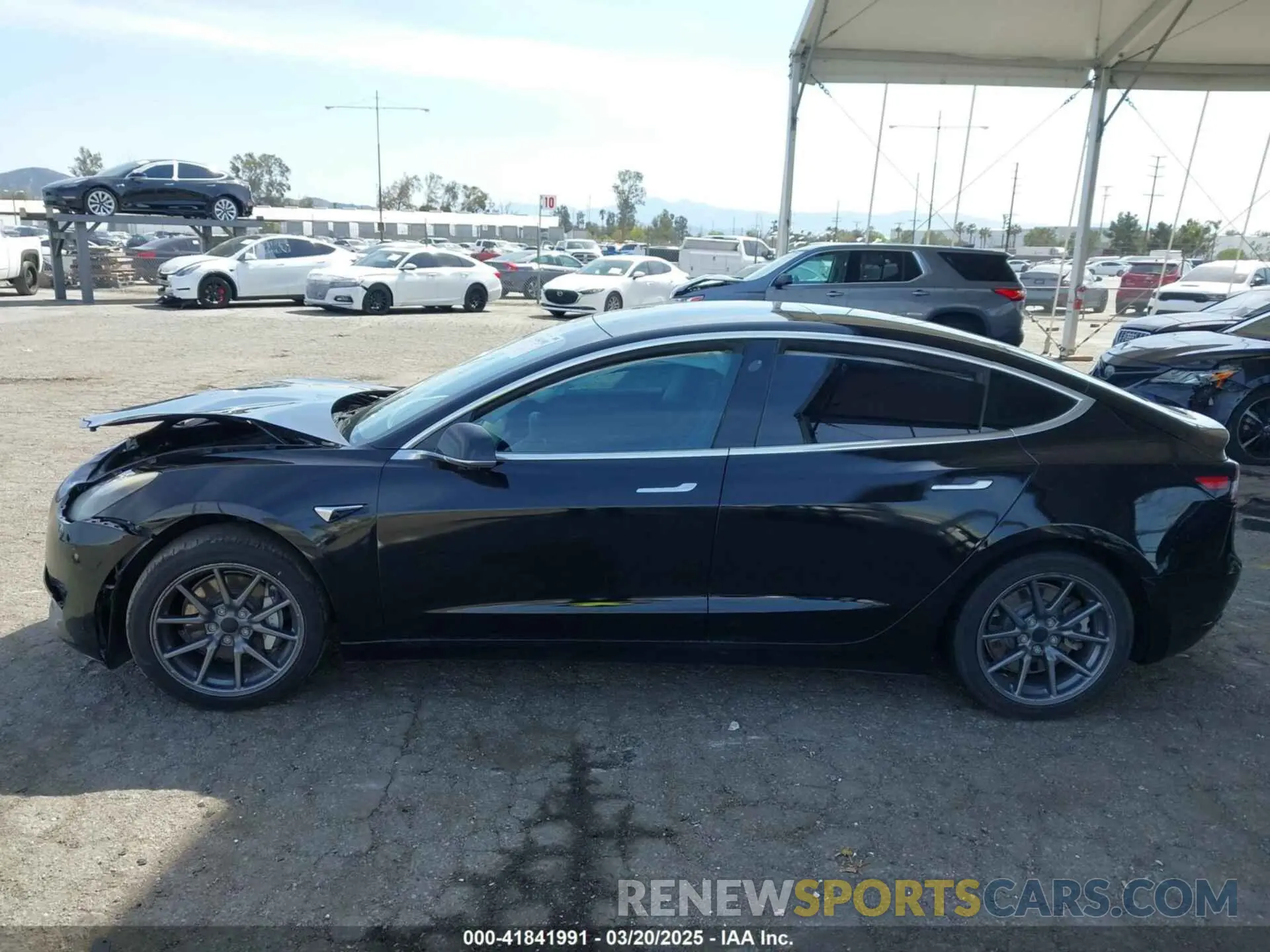 13 fotografías del automóvil dañado 5YJ3E1EA1KF410297 TESLA MODEL 3 2019