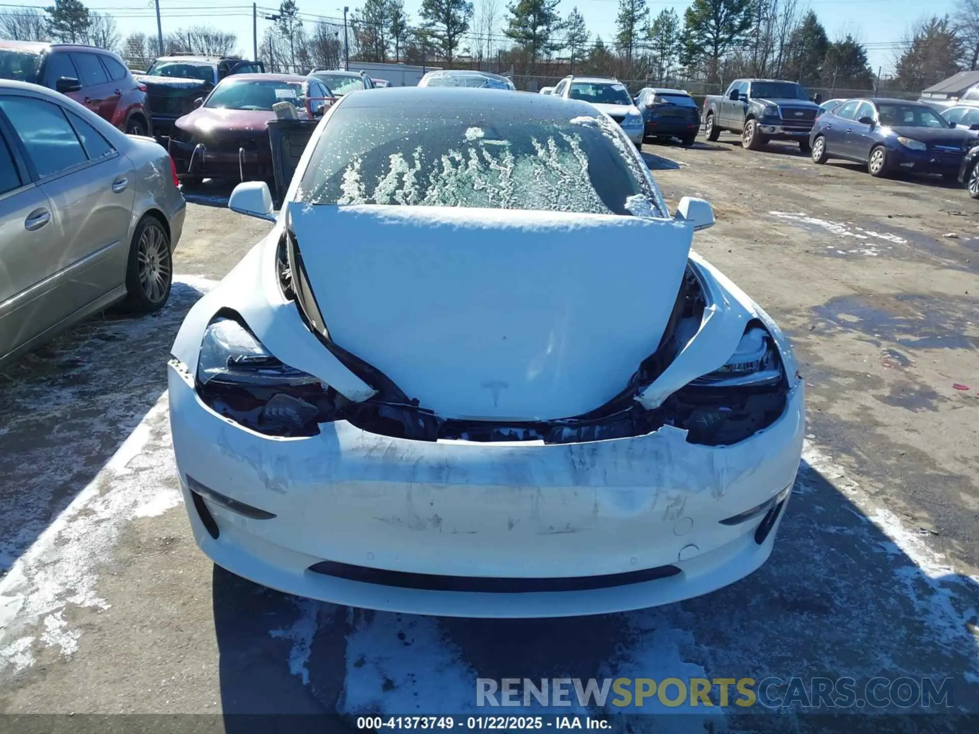 12 fotografías del automóvil dañado 5YJ3E1EA1KF430775 TESLA MODEL 3 2019