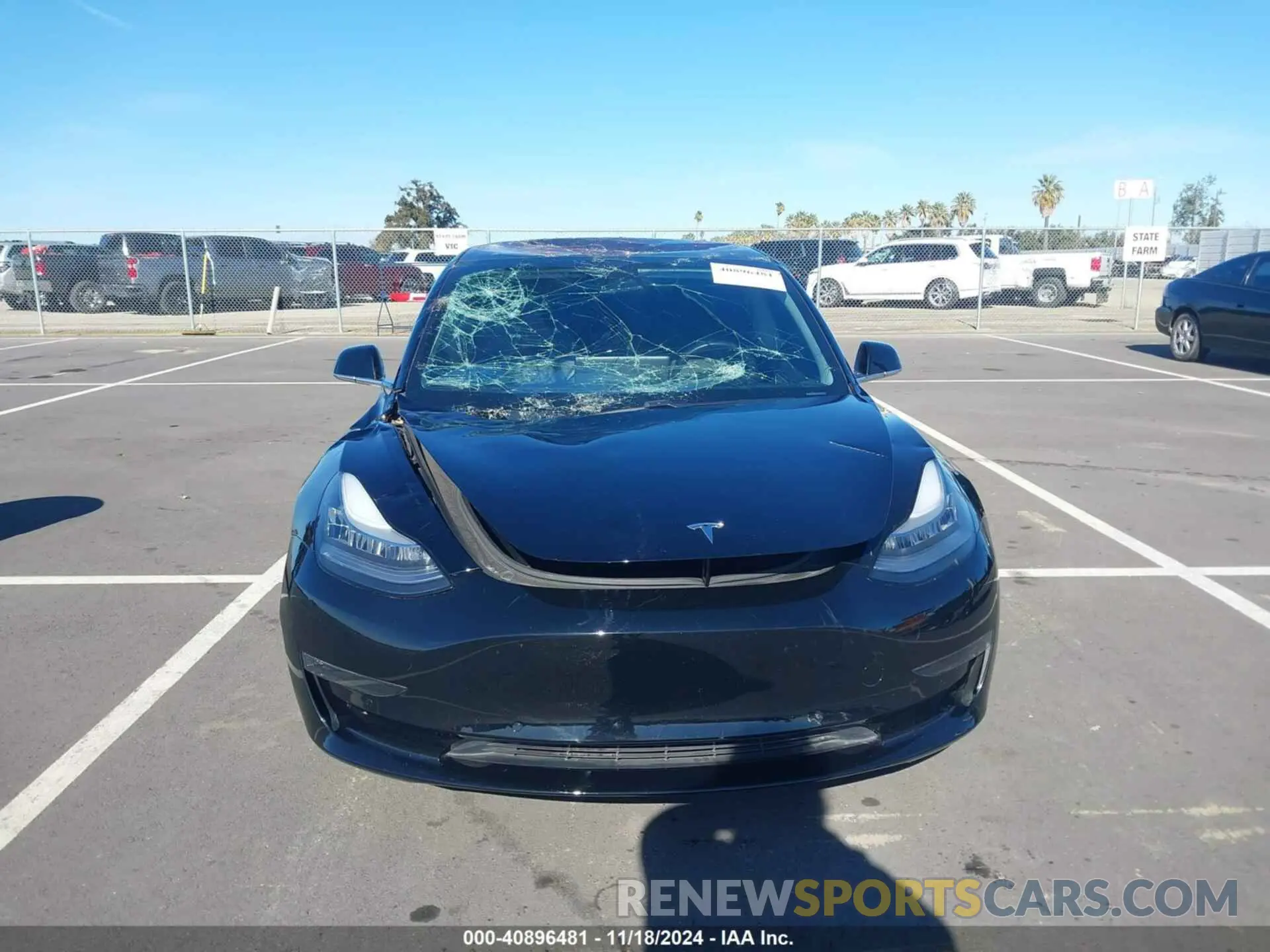 12 fotografías del automóvil dañado 5YJ3E1EA2KF189986 TESLA MODEL 3 2019