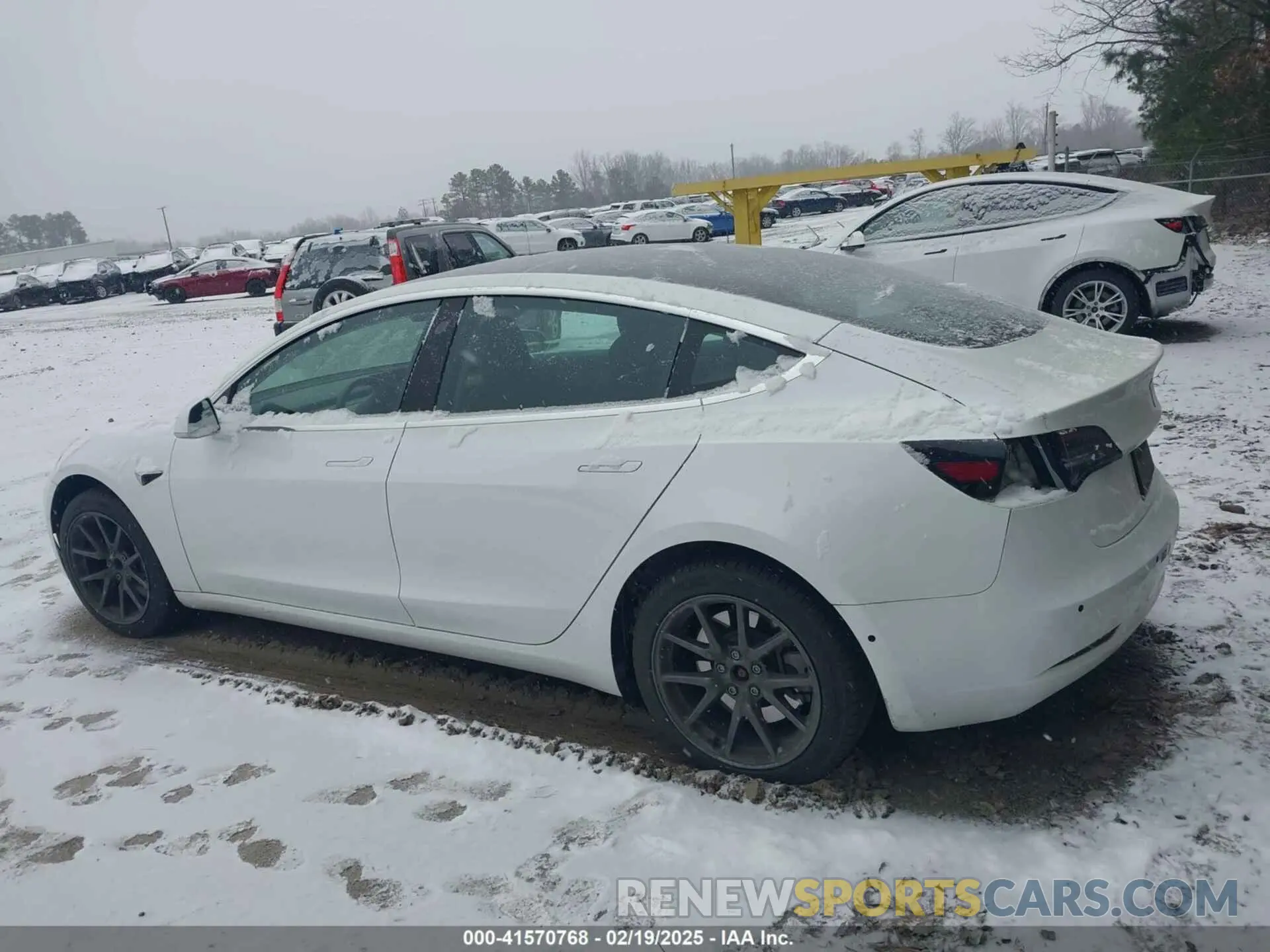 15 fotografías del automóvil dañado 5YJ3E1EA2KF299730 TESLA MODEL 3 2019