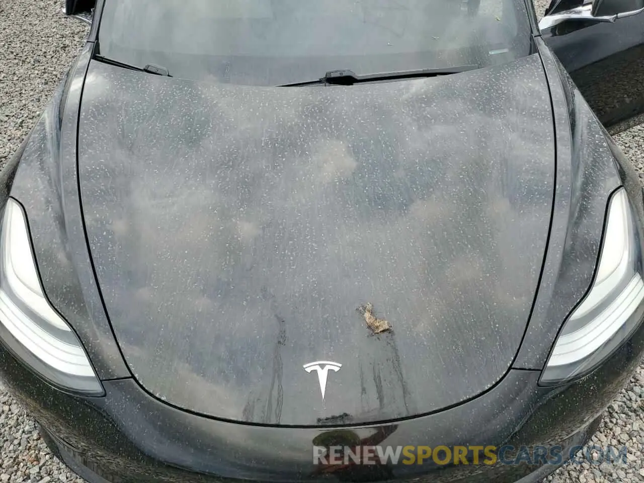 11 fotografías del automóvil dañado 5YJ3E1EA2KF445219 TESLA MODEL 3 2019