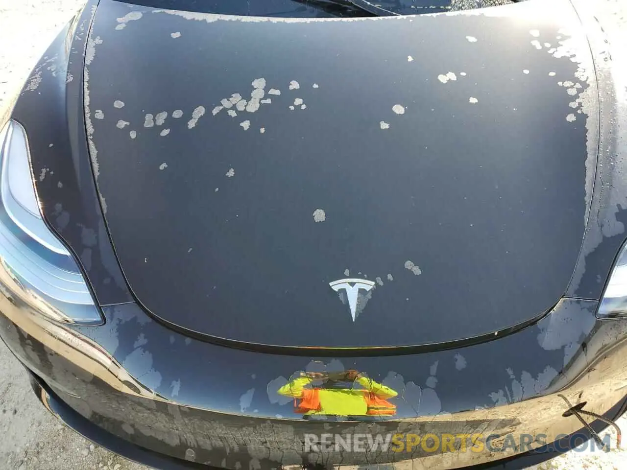 11 fotografías del automóvil dañado 5YJ3E1EA3KF300335 TESLA MODEL 3 2019