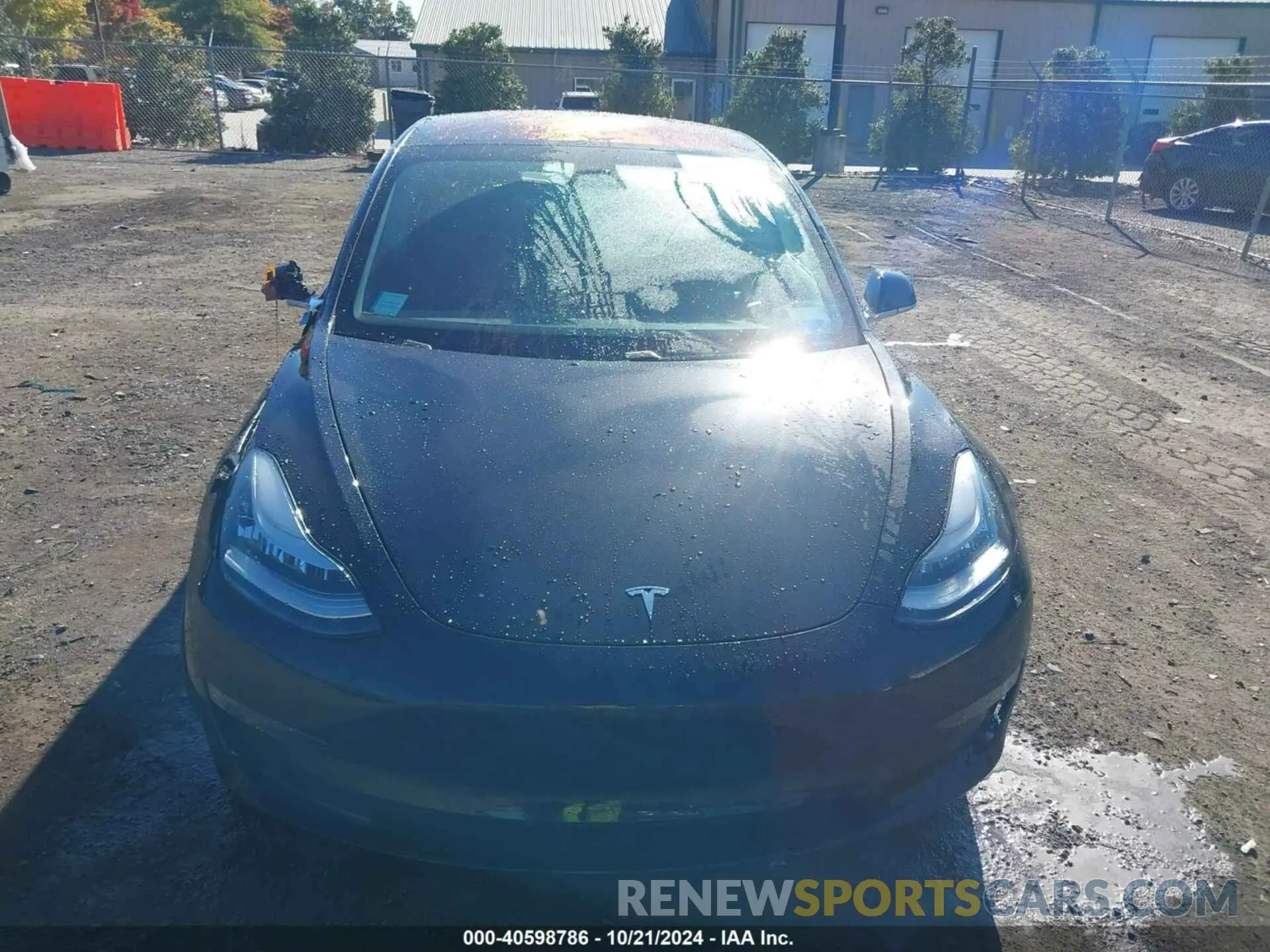 12 fotografías del automóvil dañado 5YJ3E1EA3KF300688 TESLA MODEL 3 2019