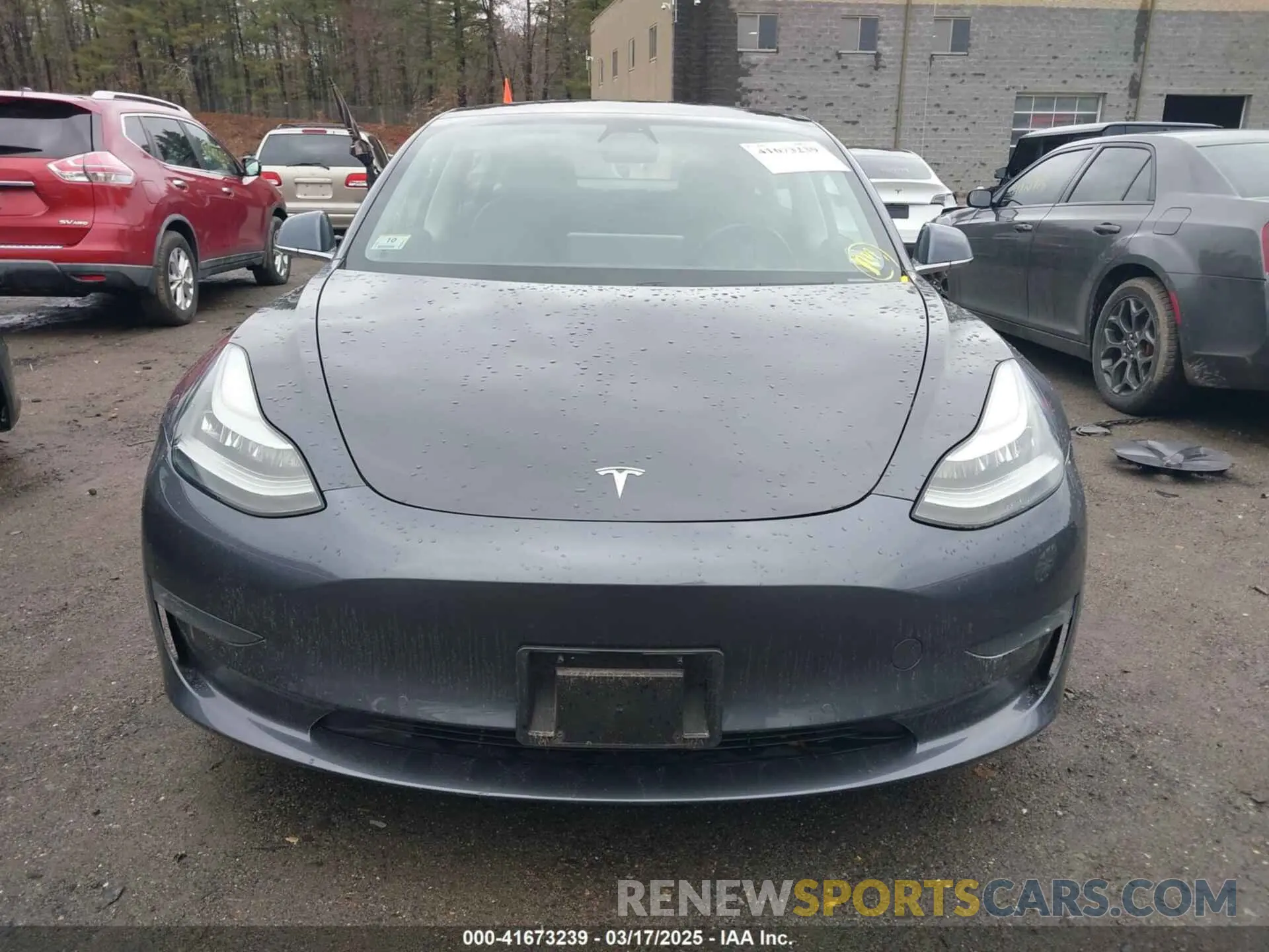 12 fotografías del automóvil dañado 5YJ3E1EA3KF307415 TESLA MODEL 3 2019