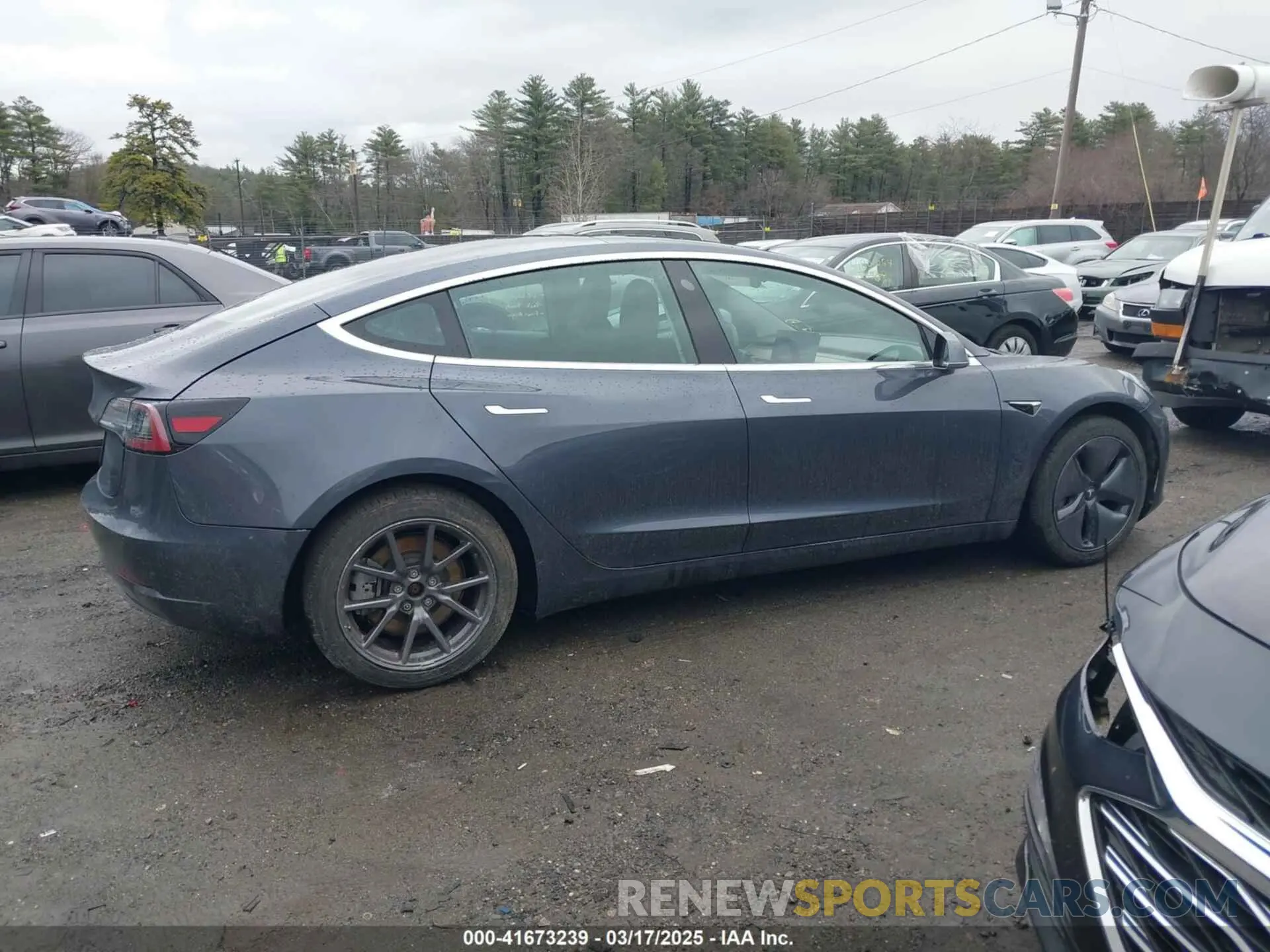 13 fotografías del automóvil dañado 5YJ3E1EA3KF307415 TESLA MODEL 3 2019