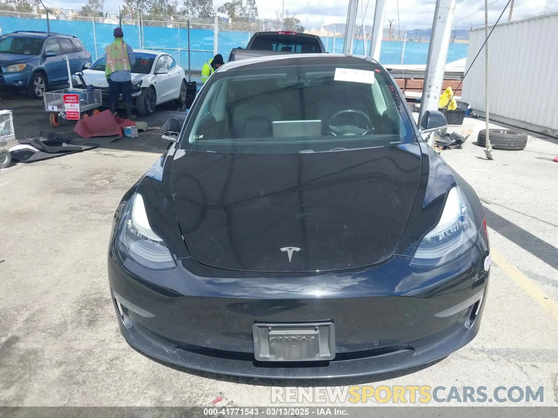 12 fotografías del automóvil dañado 5YJ3E1EA3KF325056 TESLA MODEL 3 2019