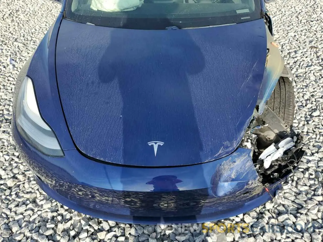 12 fotografías del automóvil dañado 5YJ3E1EA3KF332430 TESLA MODEL 3 2019
