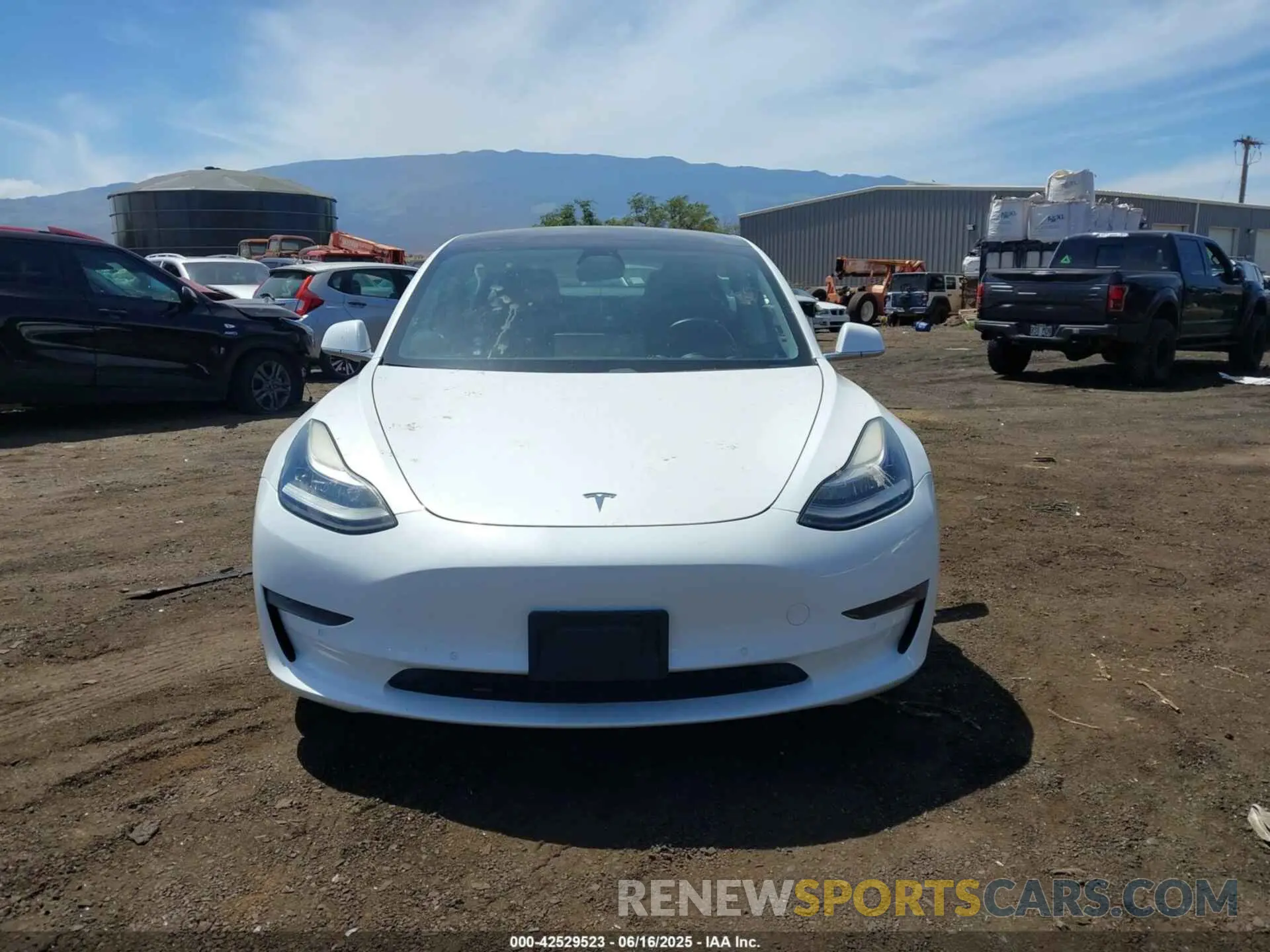 12 fotografías del automóvil dañado 5YJ3E1EA3KF401407 TESLA MODEL 3 2019