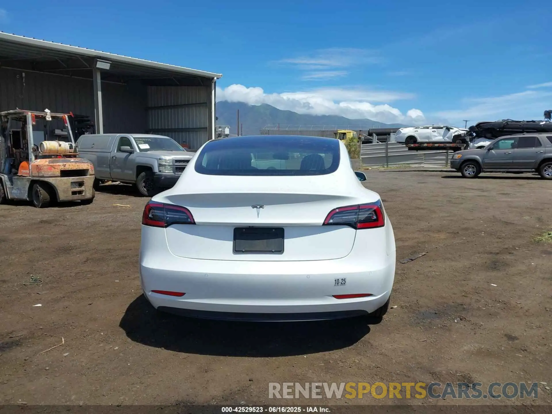 16 fotografías del automóvil dañado 5YJ3E1EA3KF401407 TESLA MODEL 3 2019