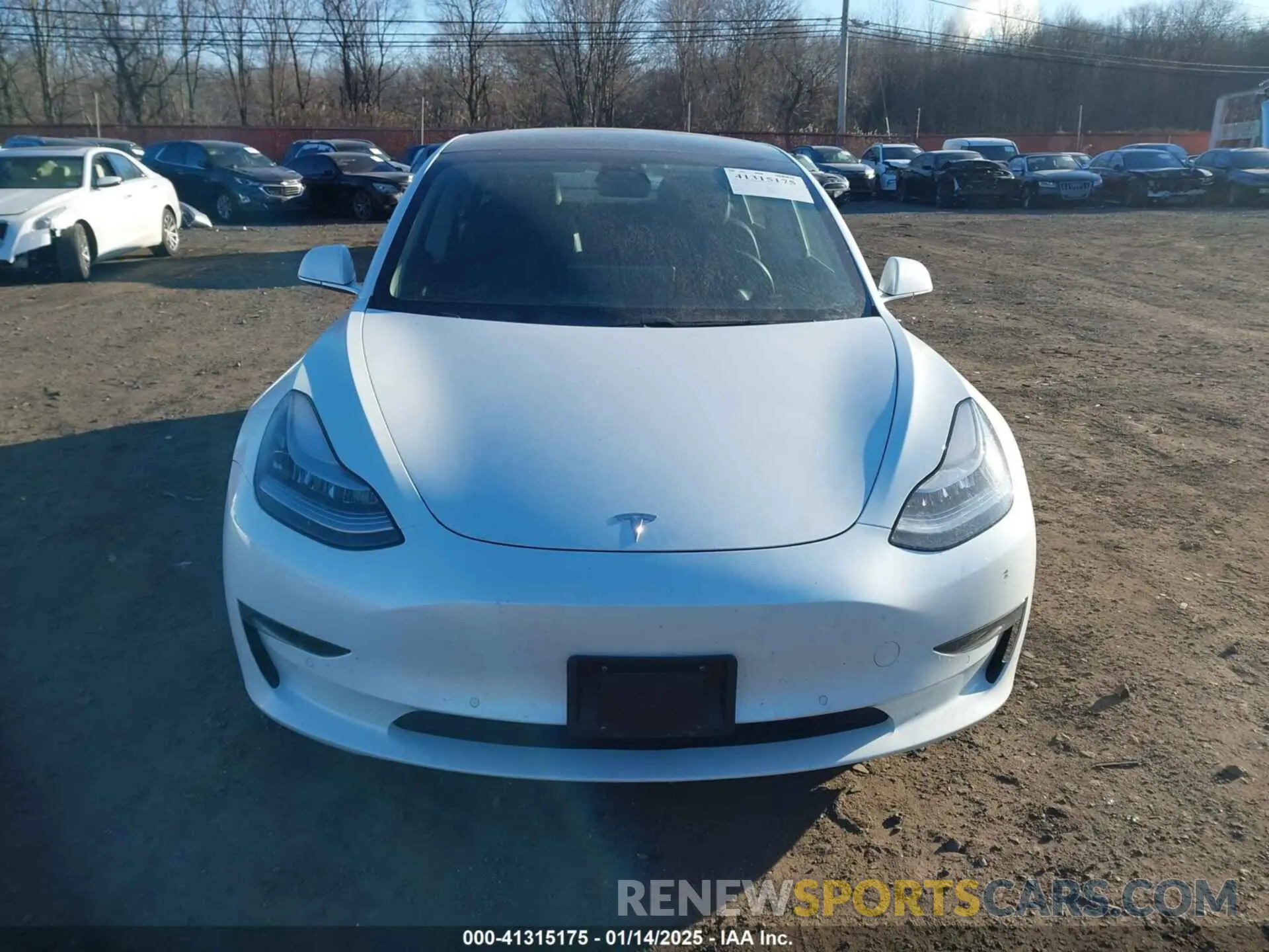 12 fotografías del automóvil dañado 5YJ3E1EA3KF402525 TESLA MODEL 3 2019