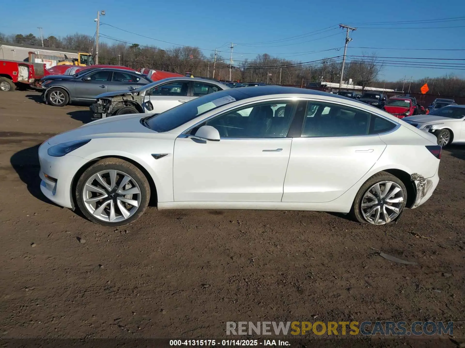 14 fotografías del automóvil dañado 5YJ3E1EA3KF402525 TESLA MODEL 3 2019
